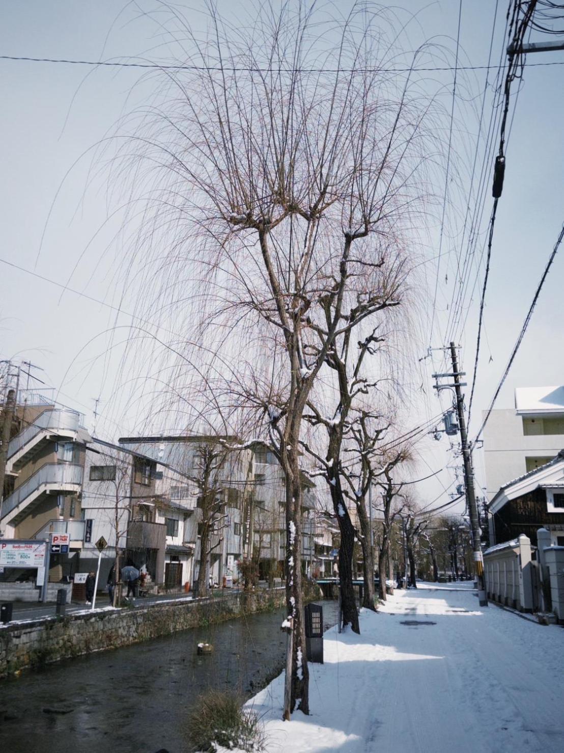Aostay Ito Machiya Gion Shirakawa