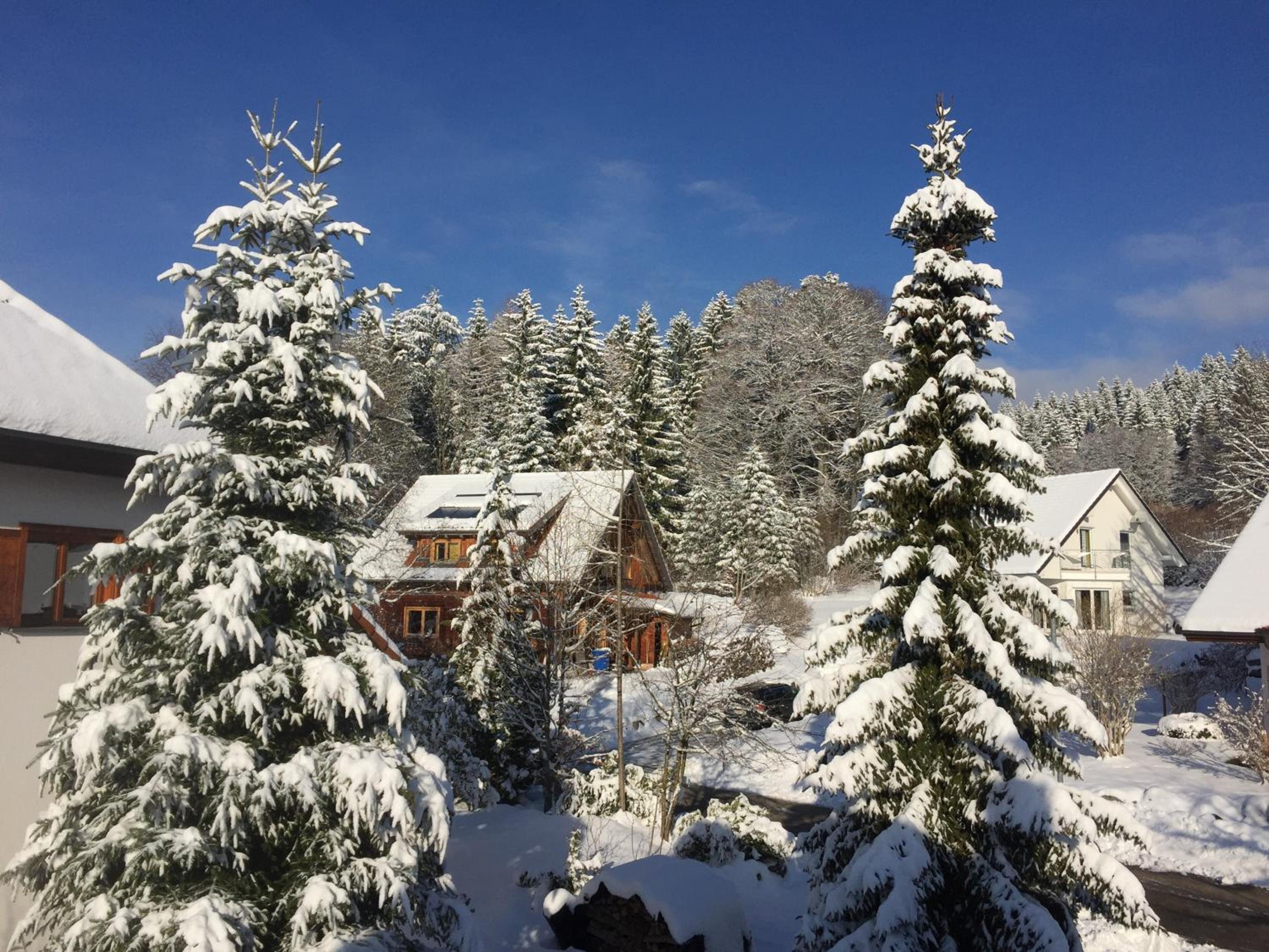 Blackforest Life