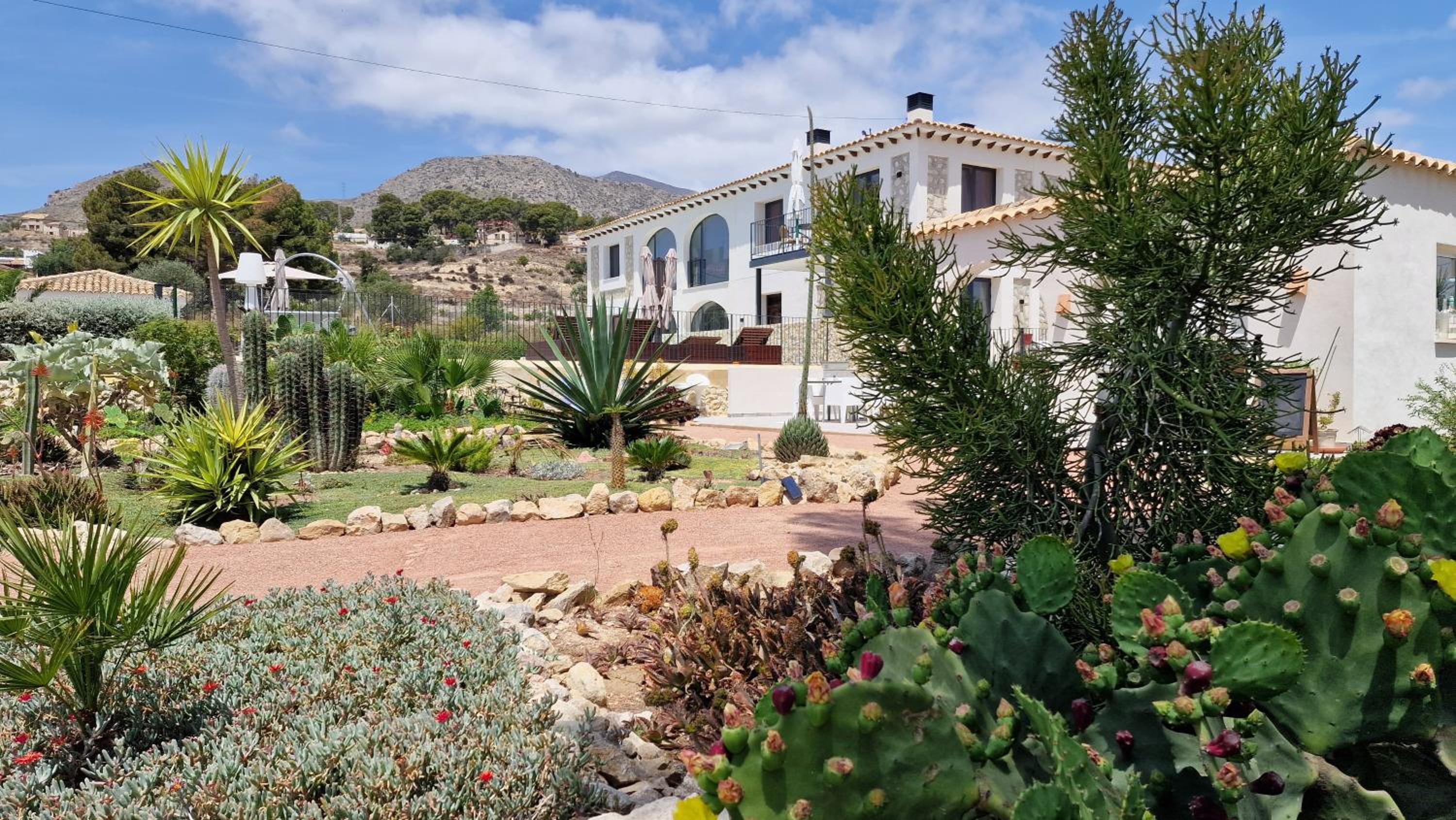 Villa Hoy