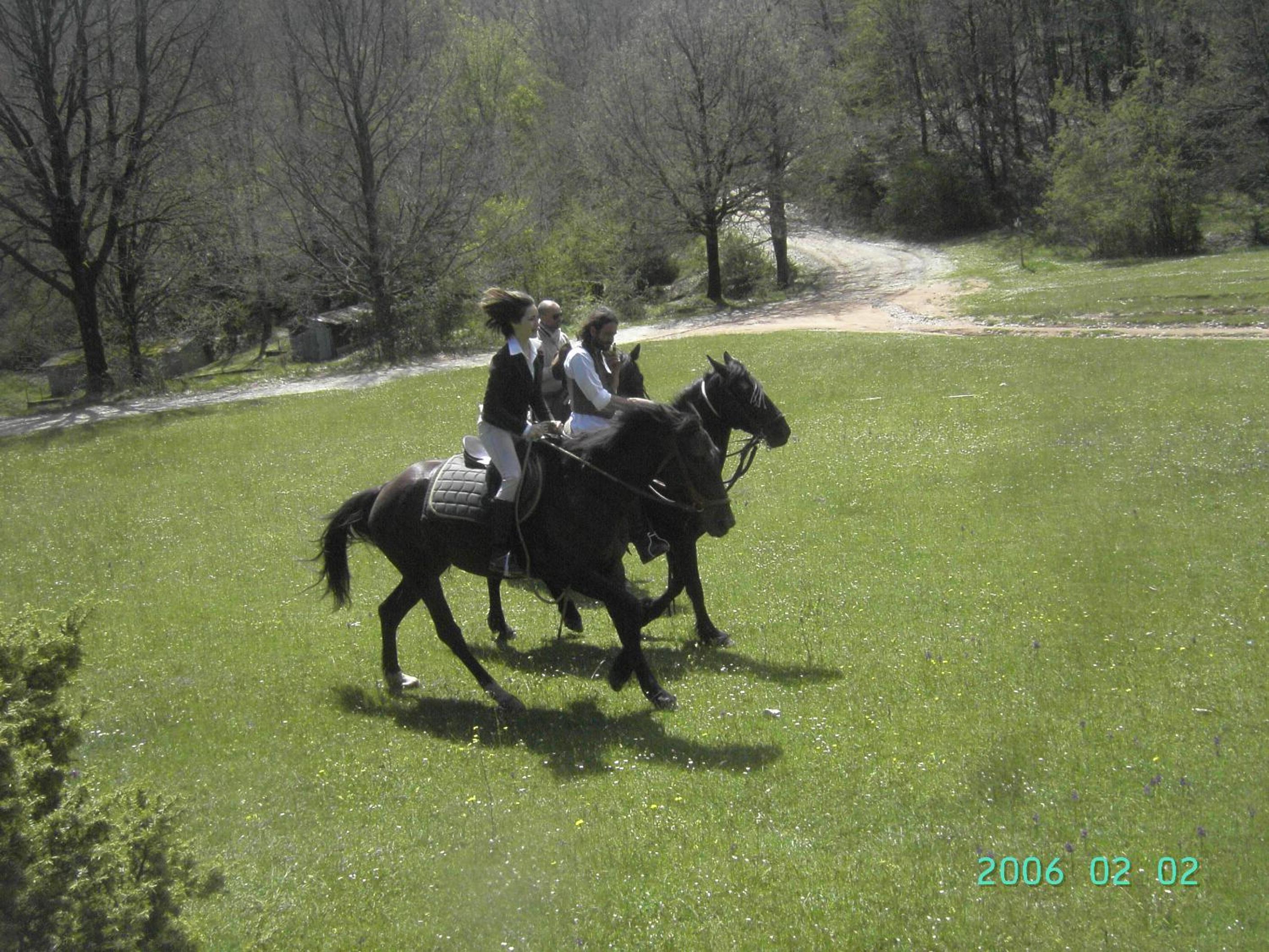 Photo 41