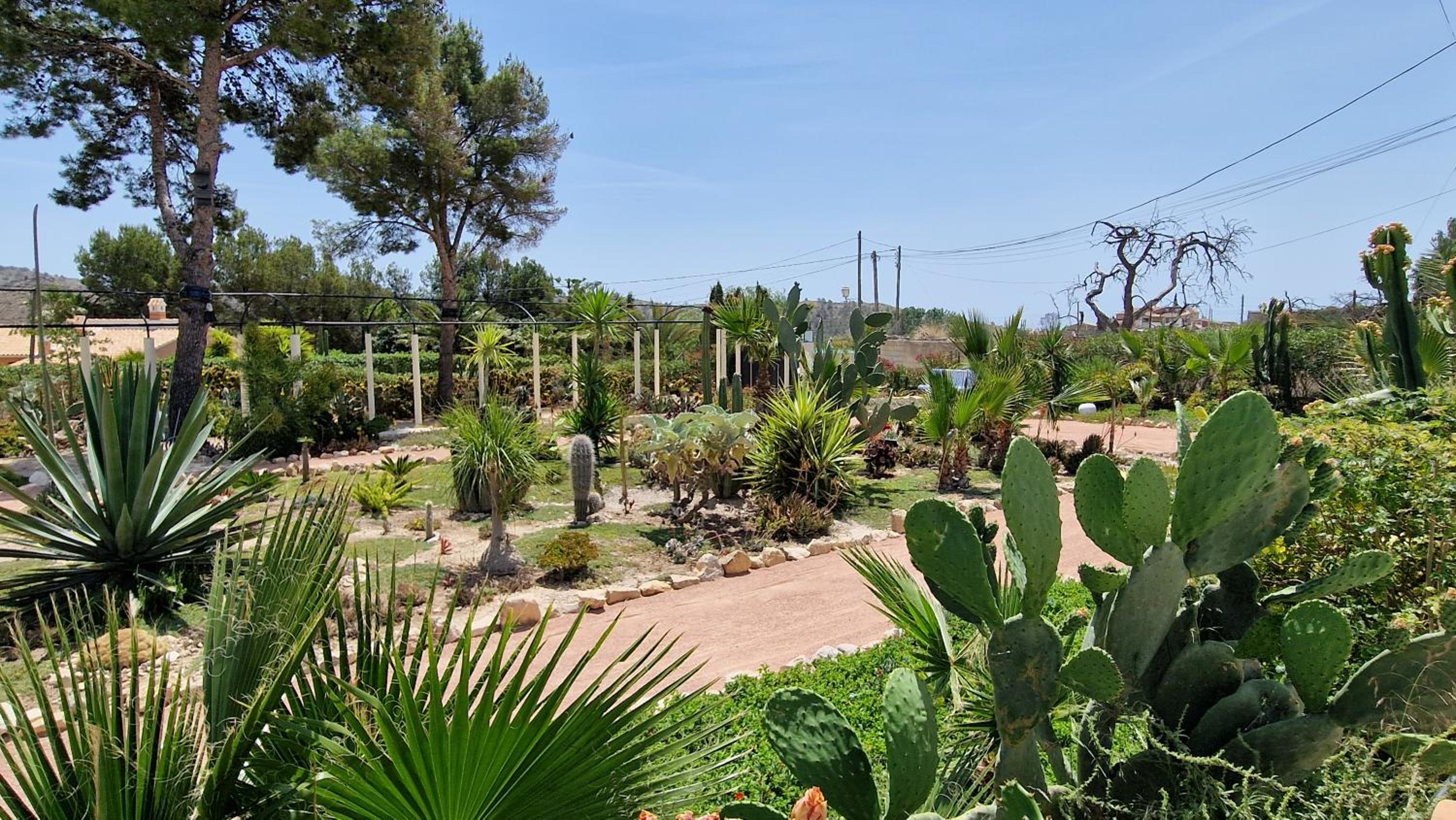 Villa Hoy