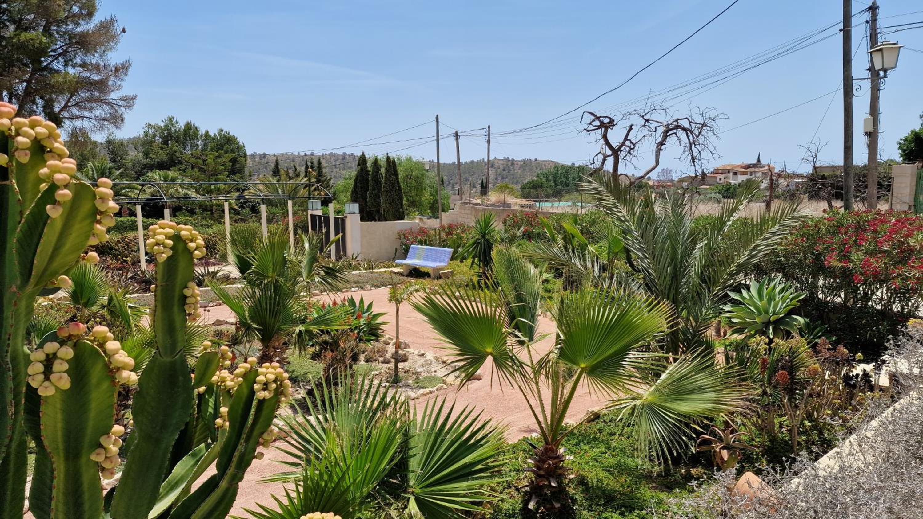 Villa Hoy