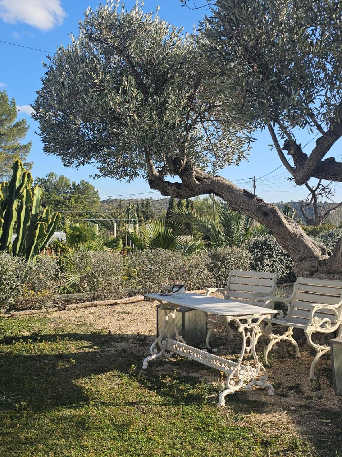 Villa Hoy