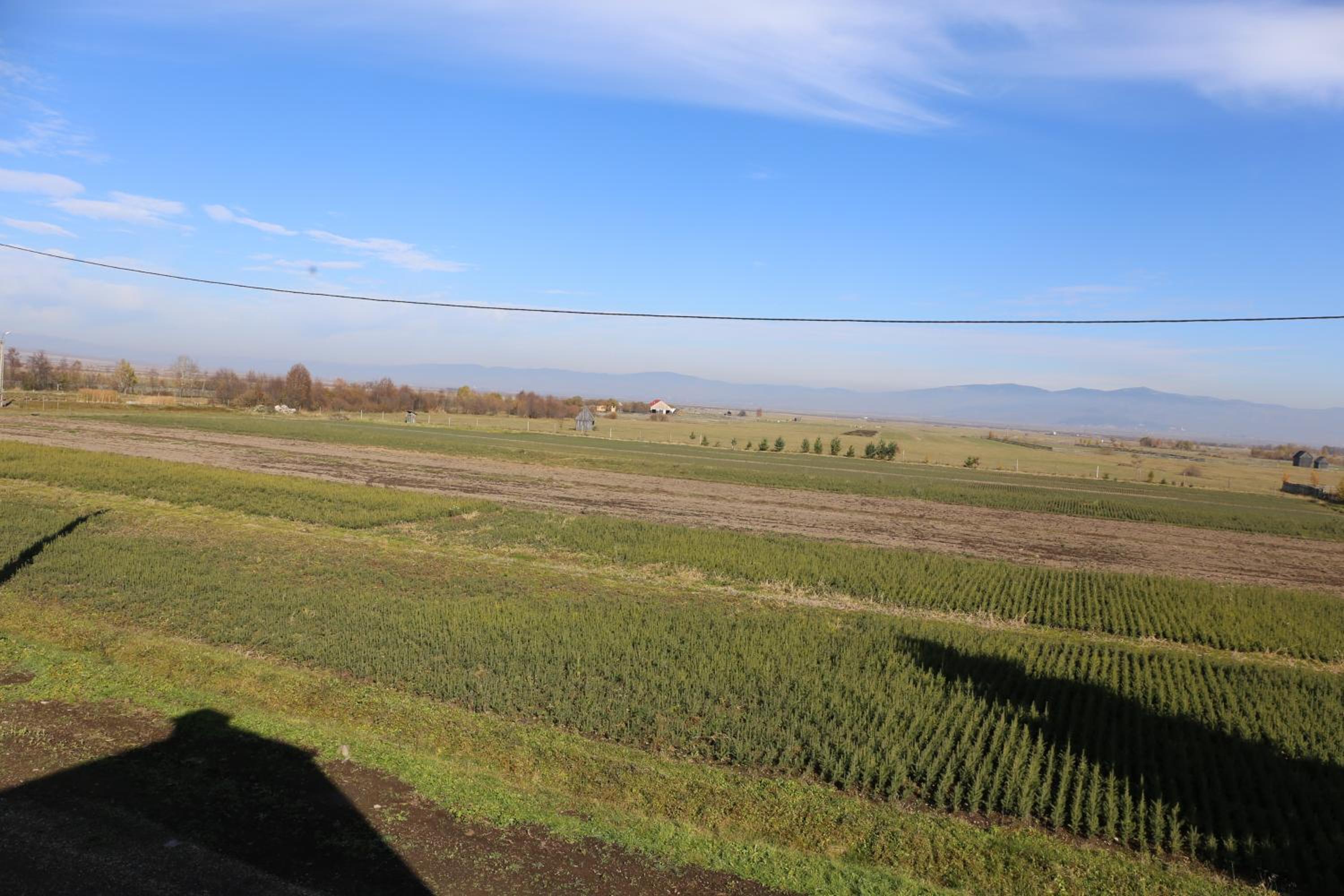 Ezüstfenyő Agroturisztikai Panzió