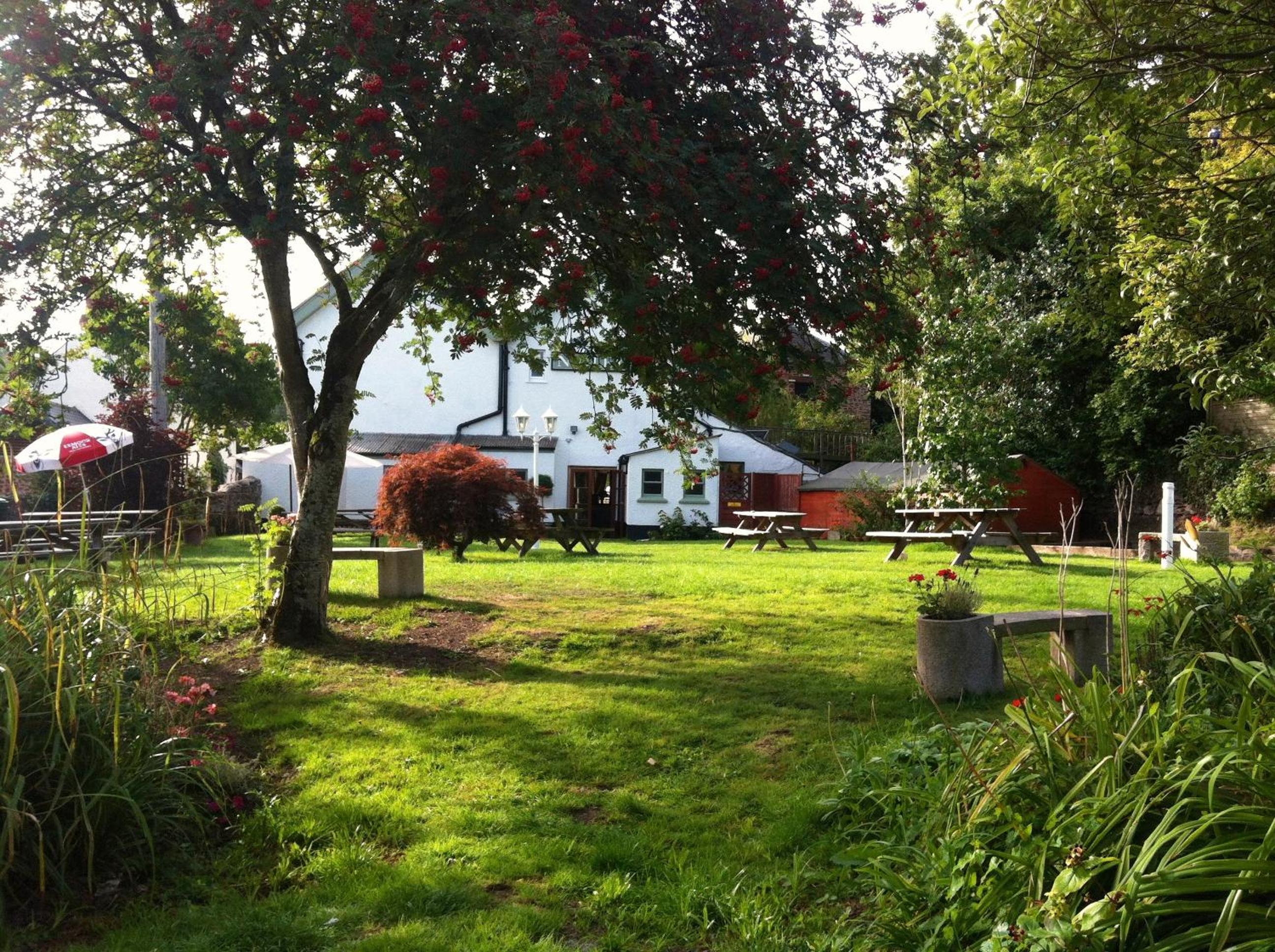 Photo 45