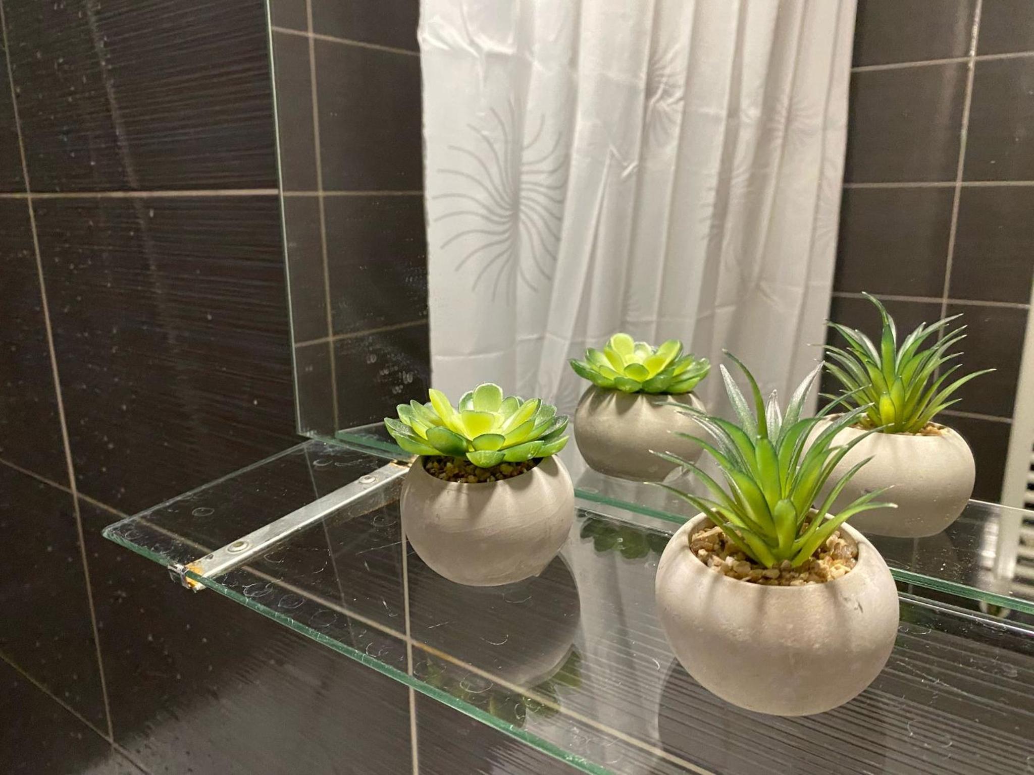 Casa chia