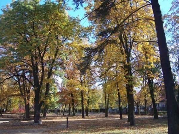 Hotel Willa Park - Property Image 6