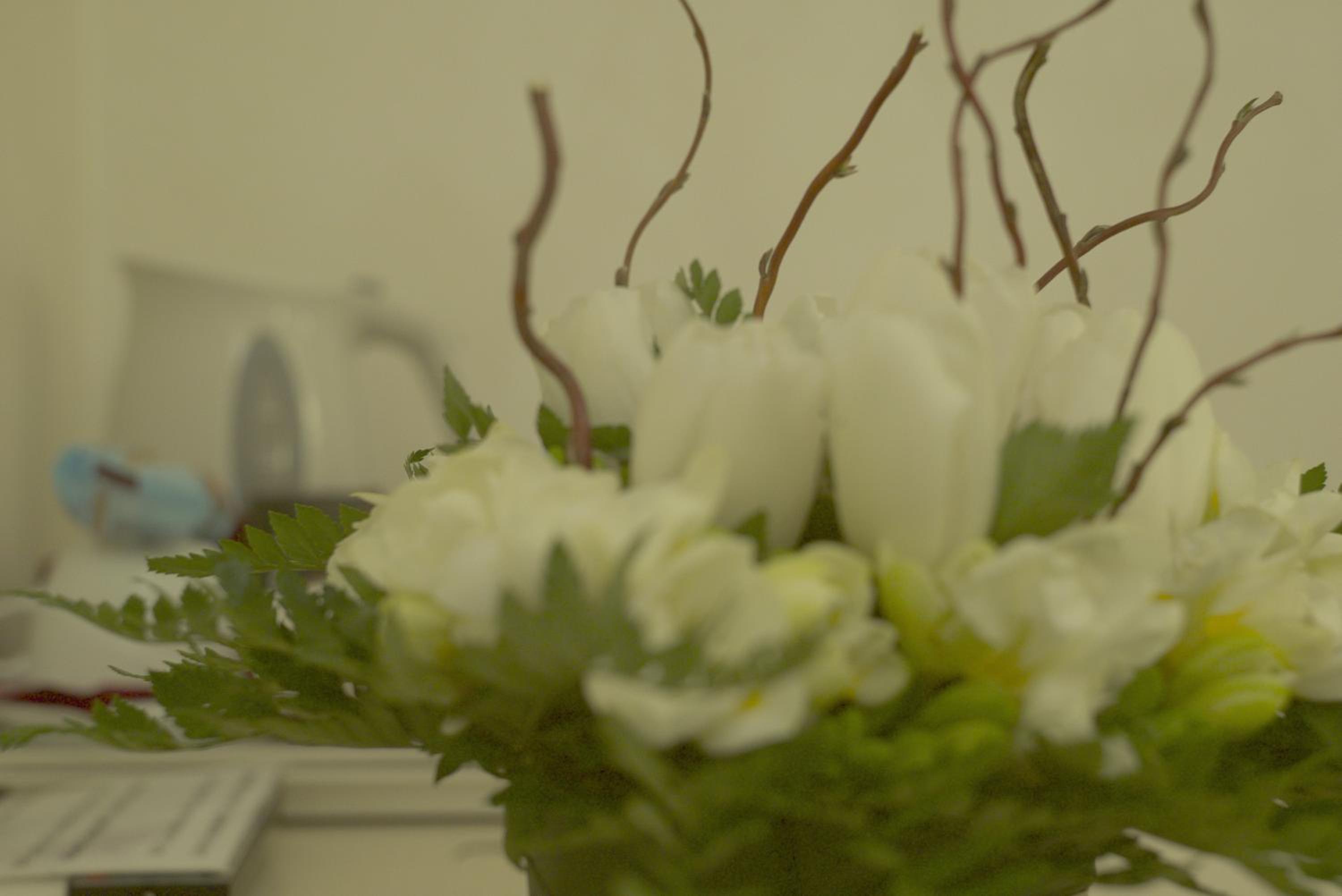 Locanda Navona