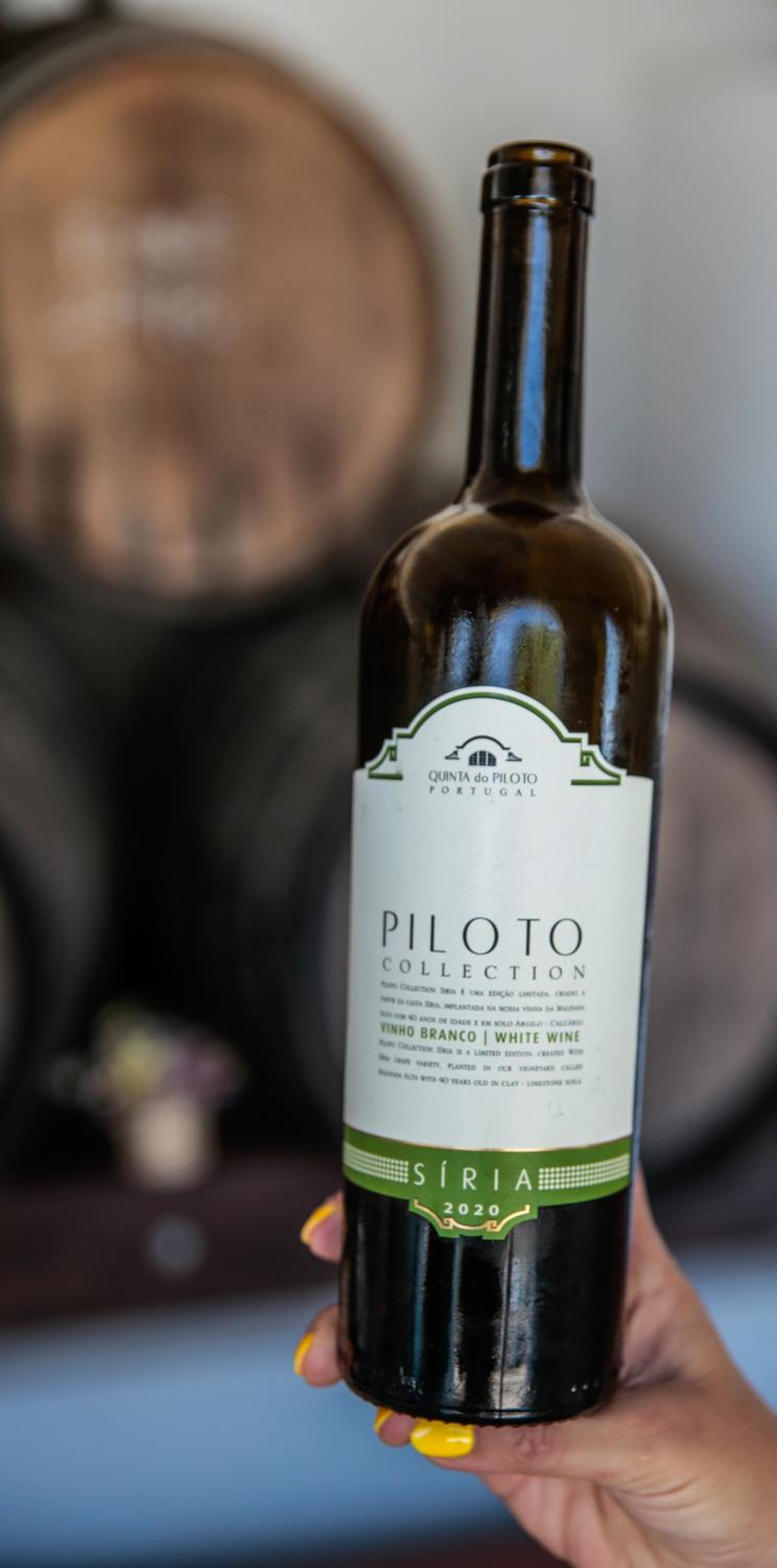 Quinta do Piloto, photo 32