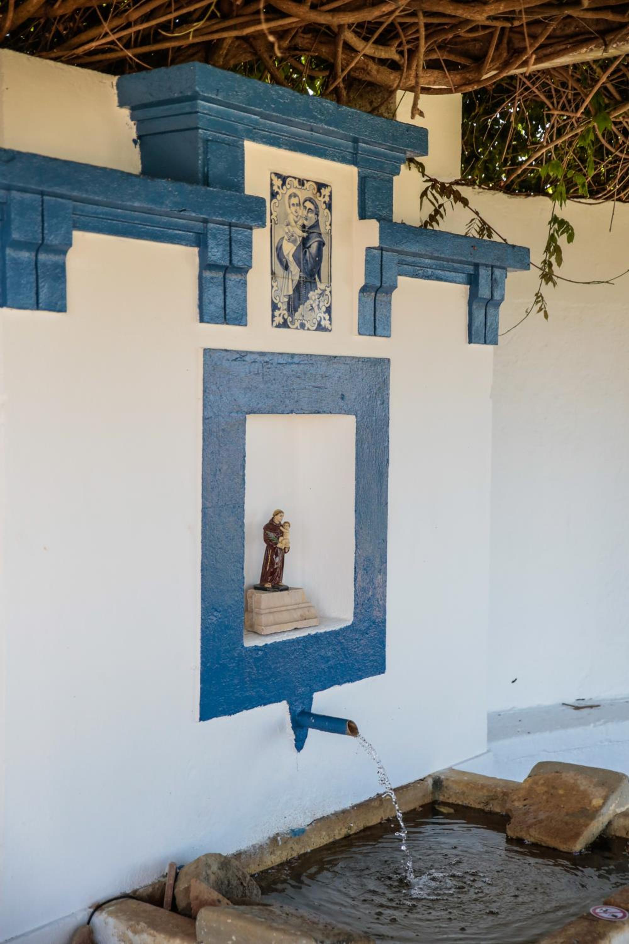 Quinta do Piloto, photo 37