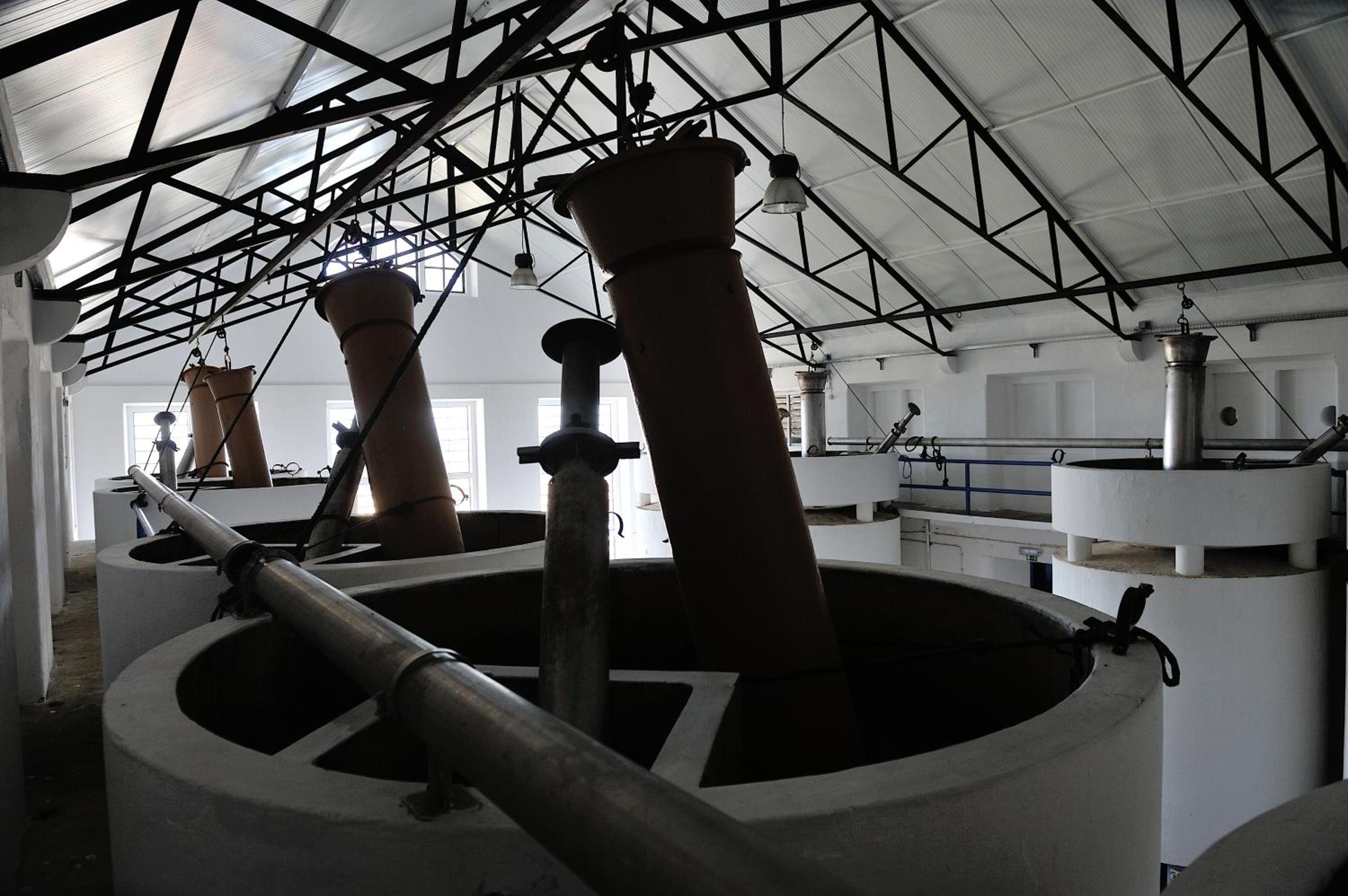 Quinta do Piloto, photo 9