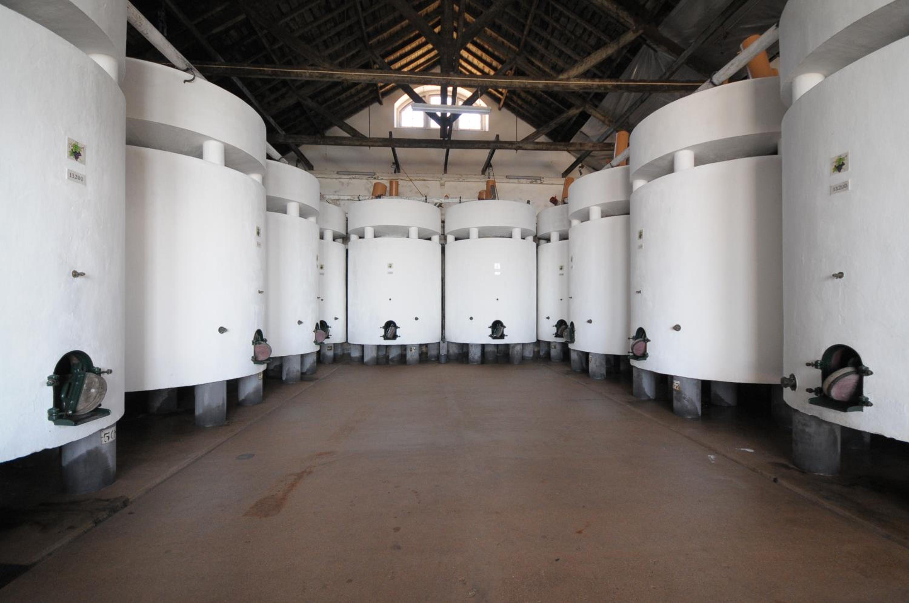 Quinta do Piloto, photo 30