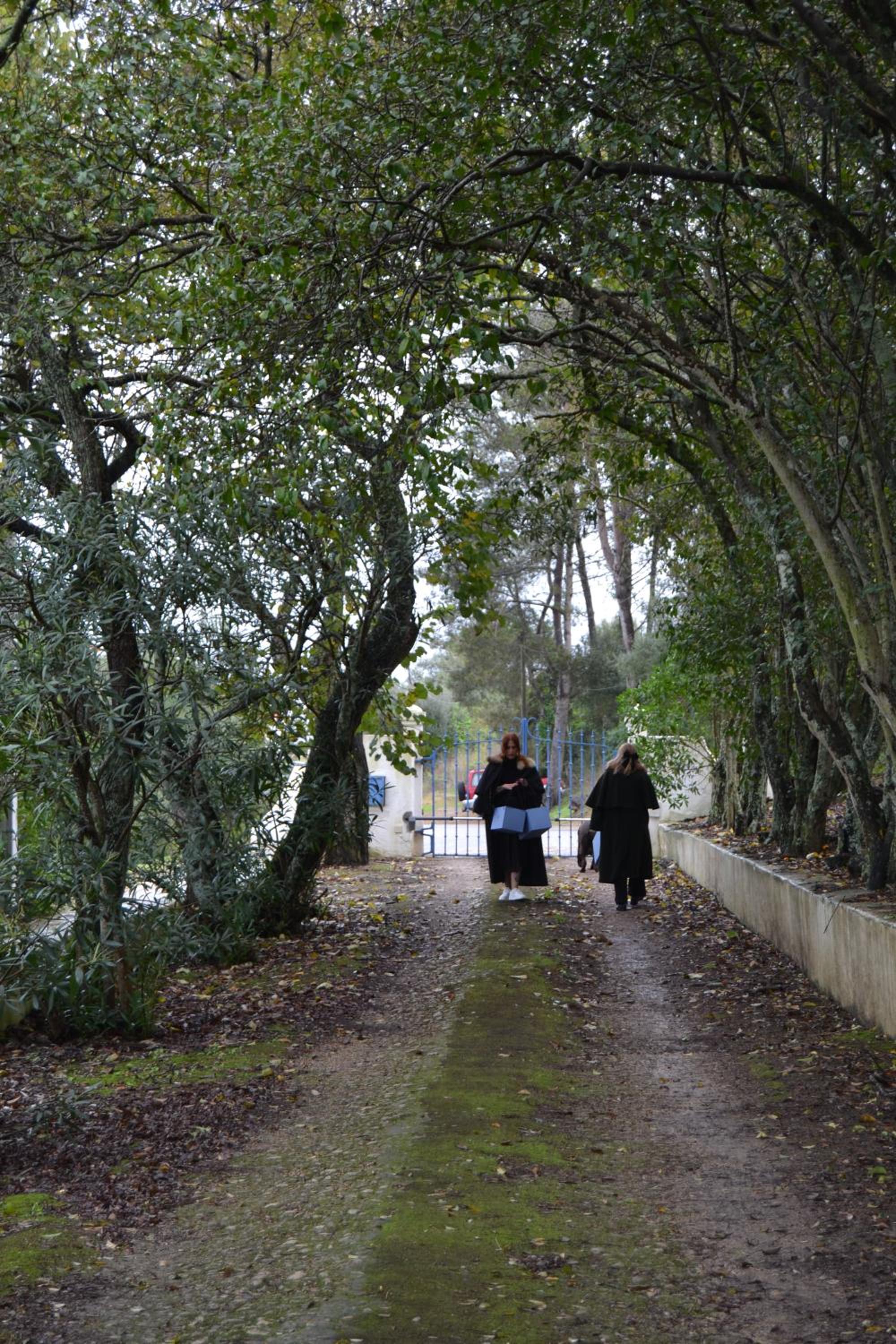 Quinta do Piloto, photo 10