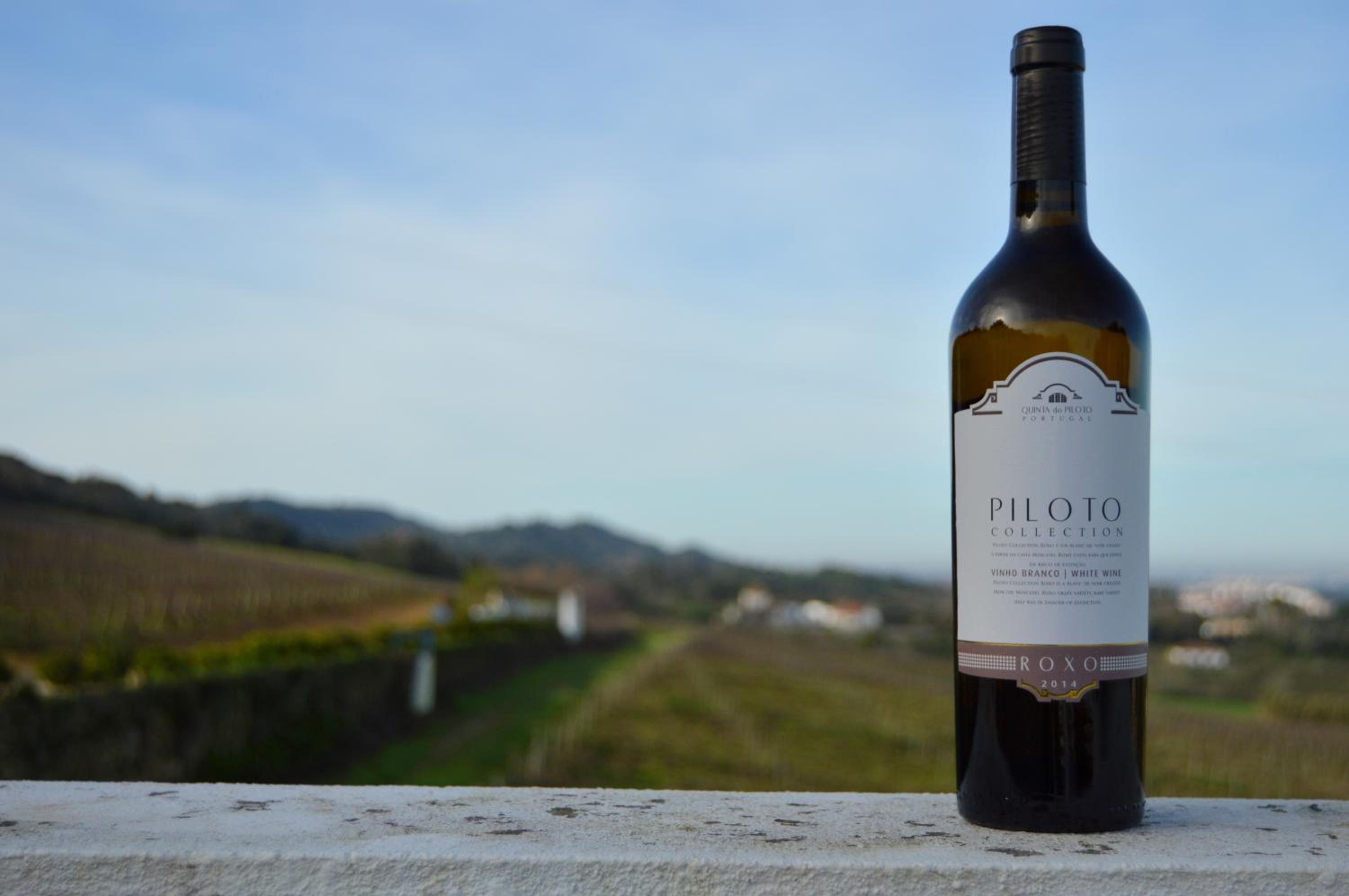 Quinta do Piloto, photo 19