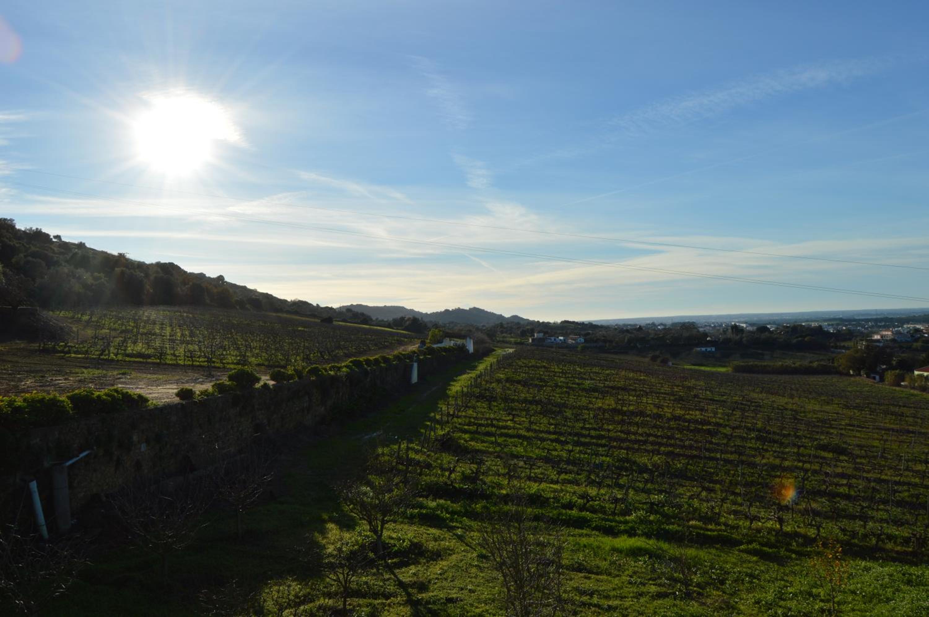 Quinta do Piloto, photo 8