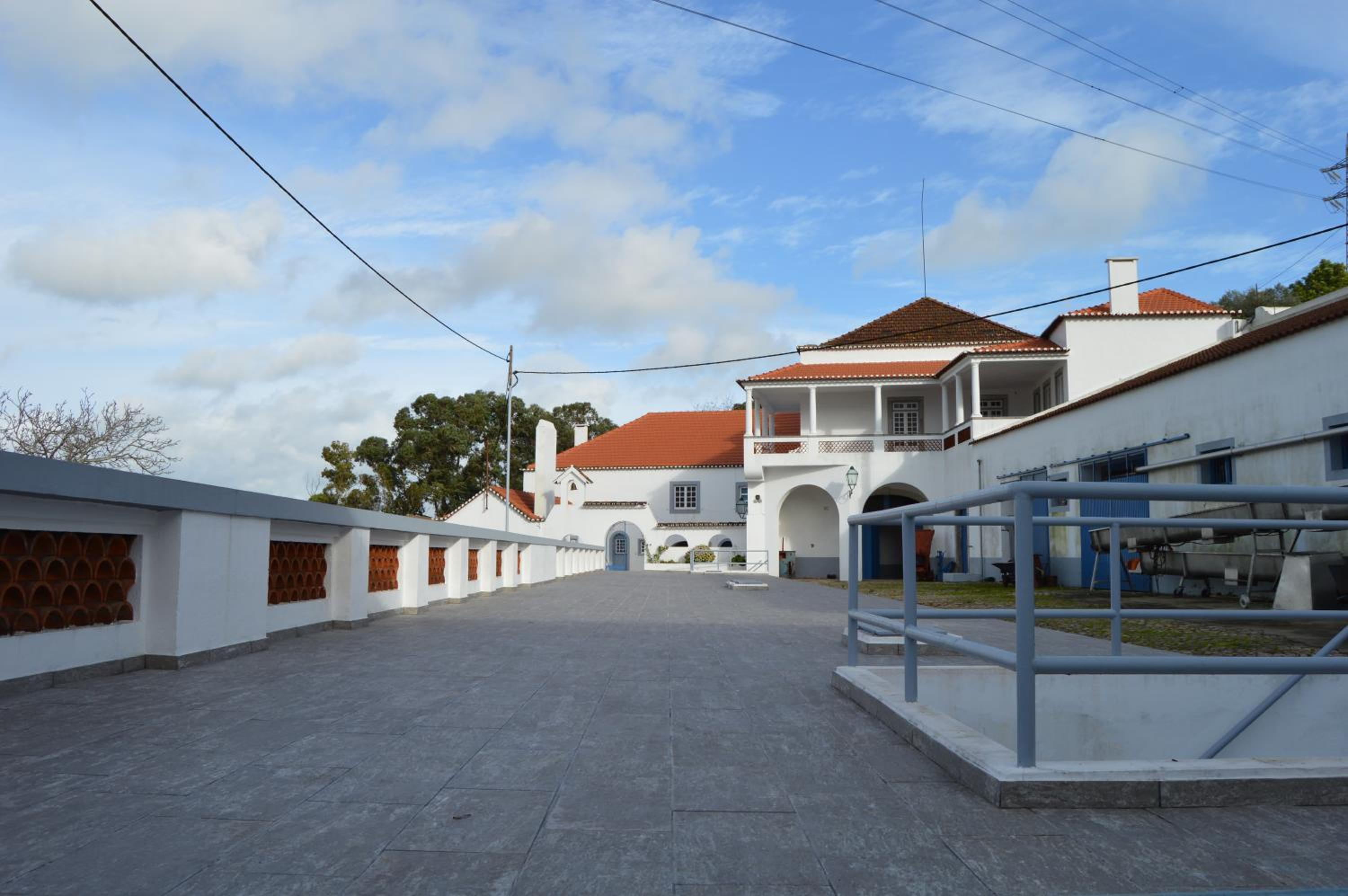 Quinta do Piloto, photo 6