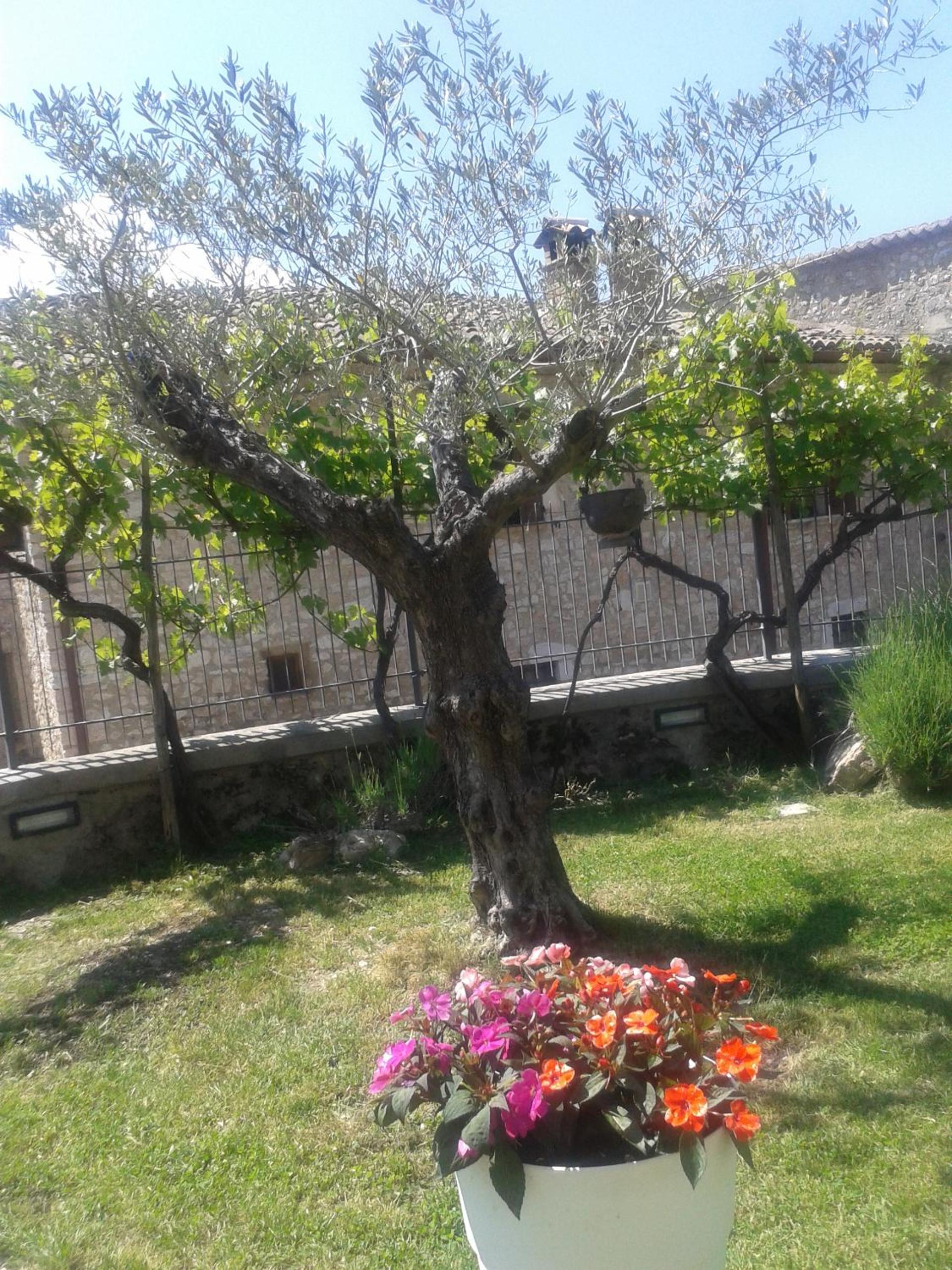 Agriturismo campagna in compagnia