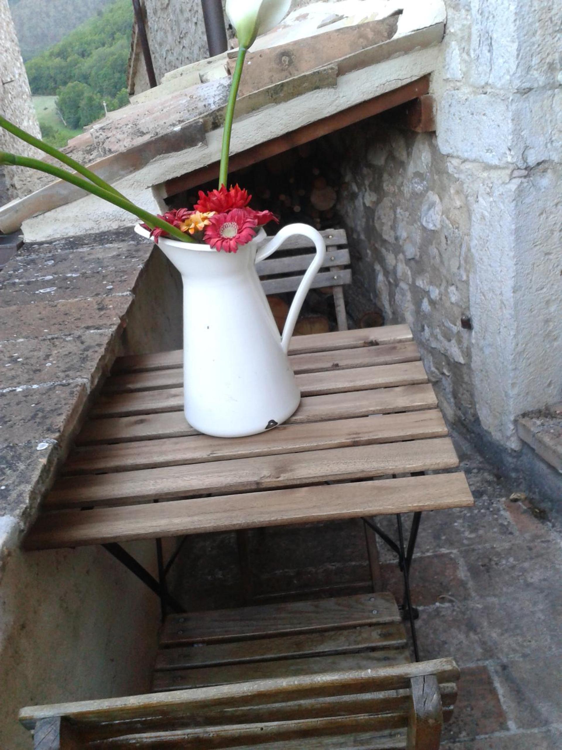 Agriturismo campagna in compagnia