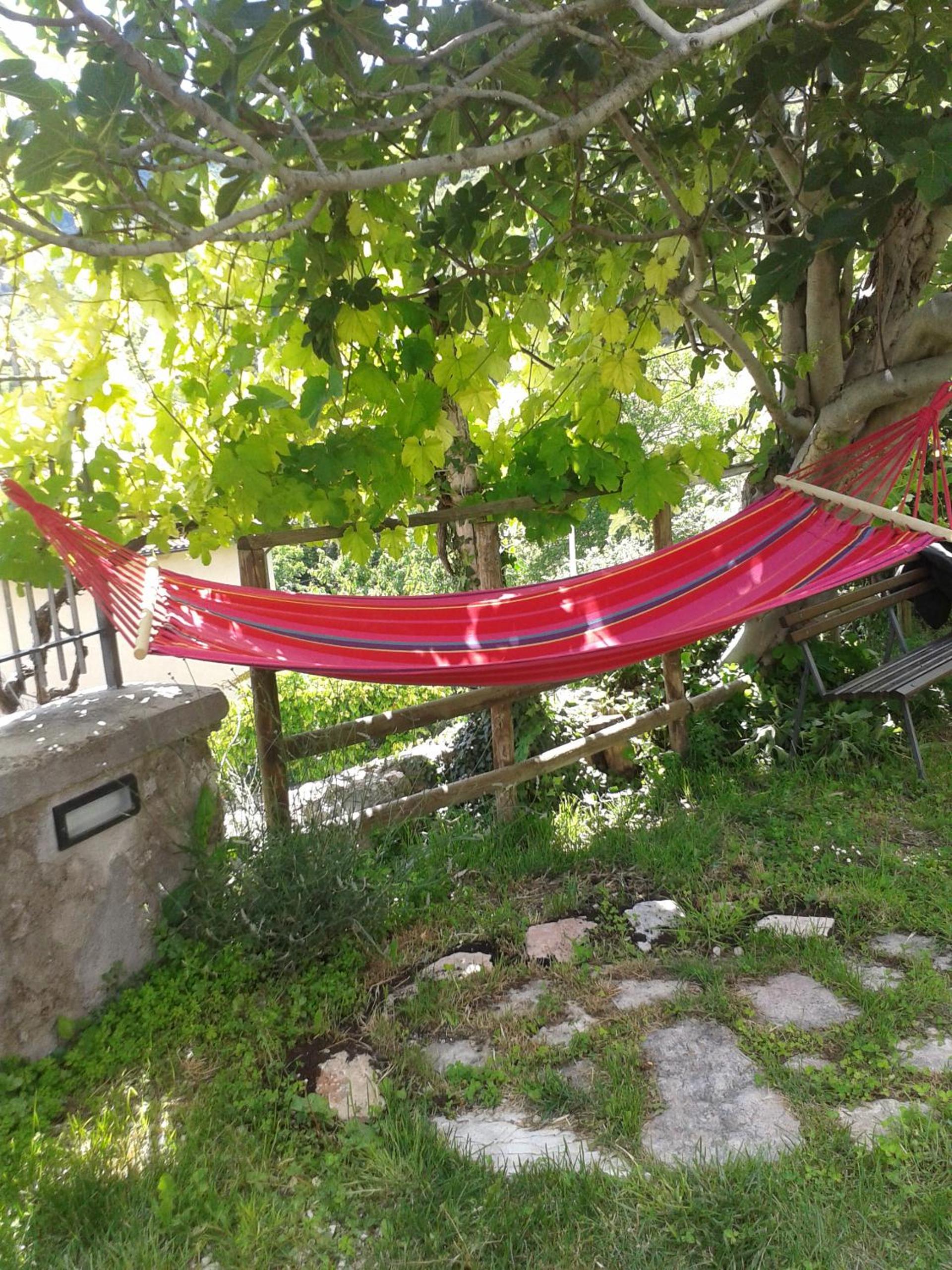 Agriturismo campagna in compagnia