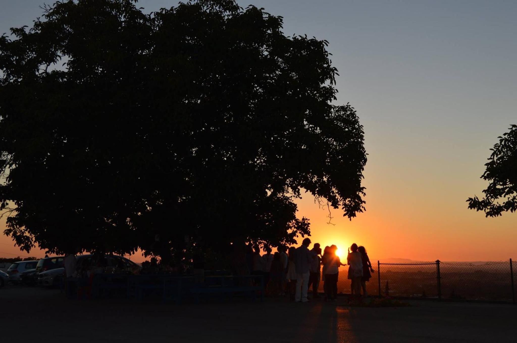 Quinta do Piloto, photo 3