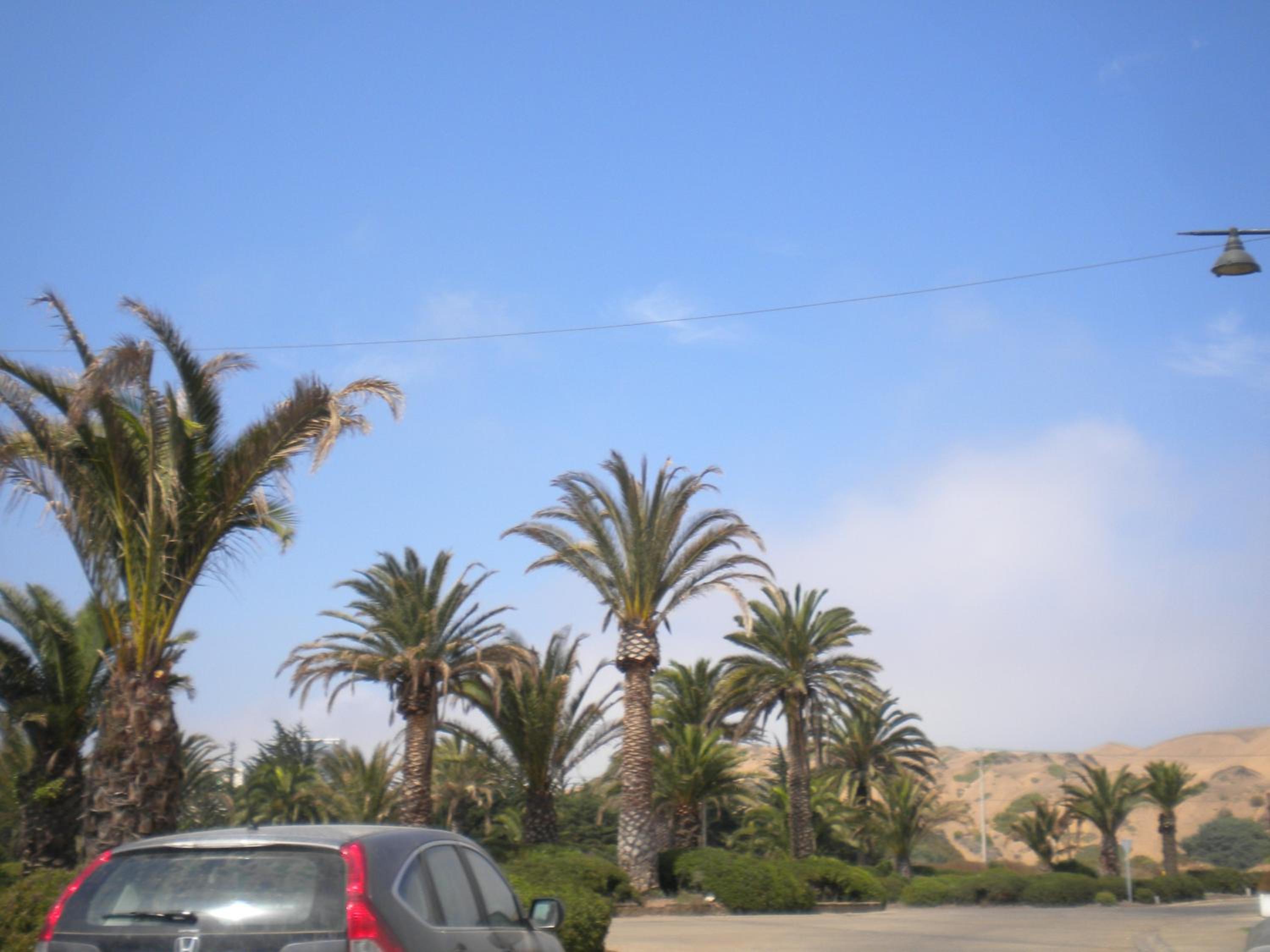 Photo 44