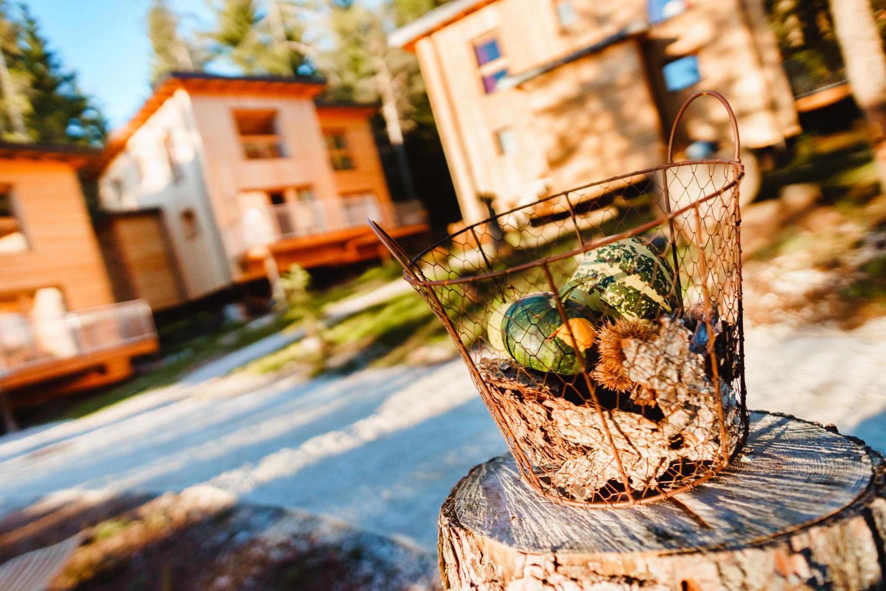 Forest Chalet Resort FELIZITAS