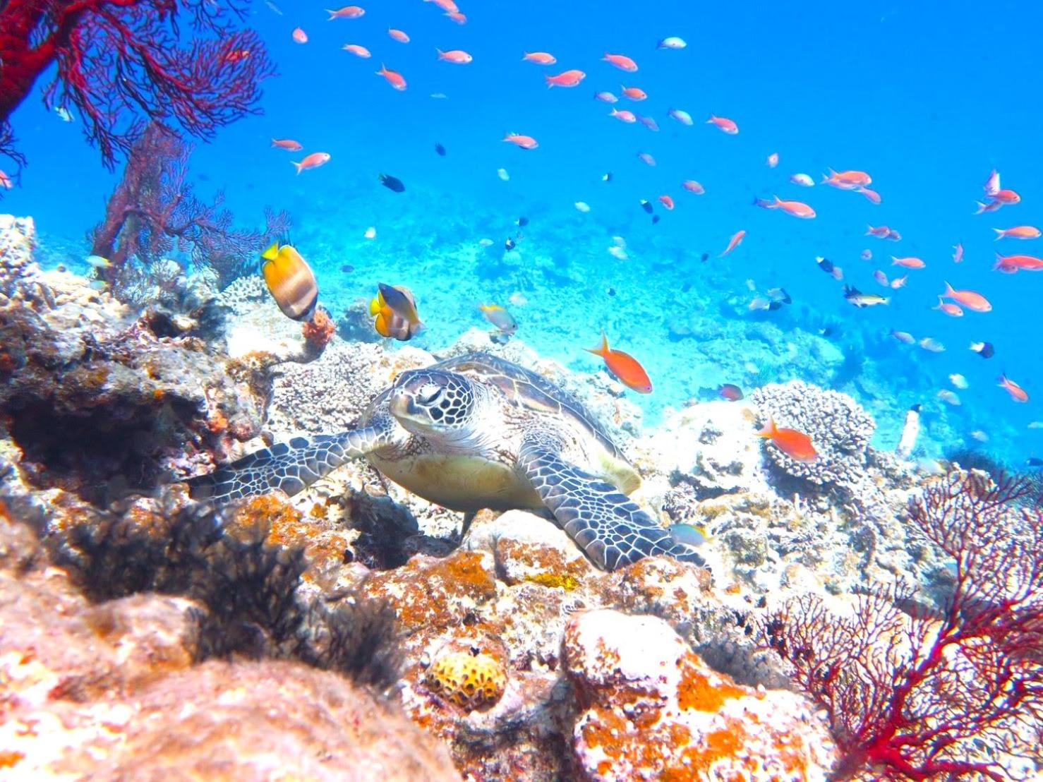 Coral Sea Villa OKINAWA MIYAKOJIMA