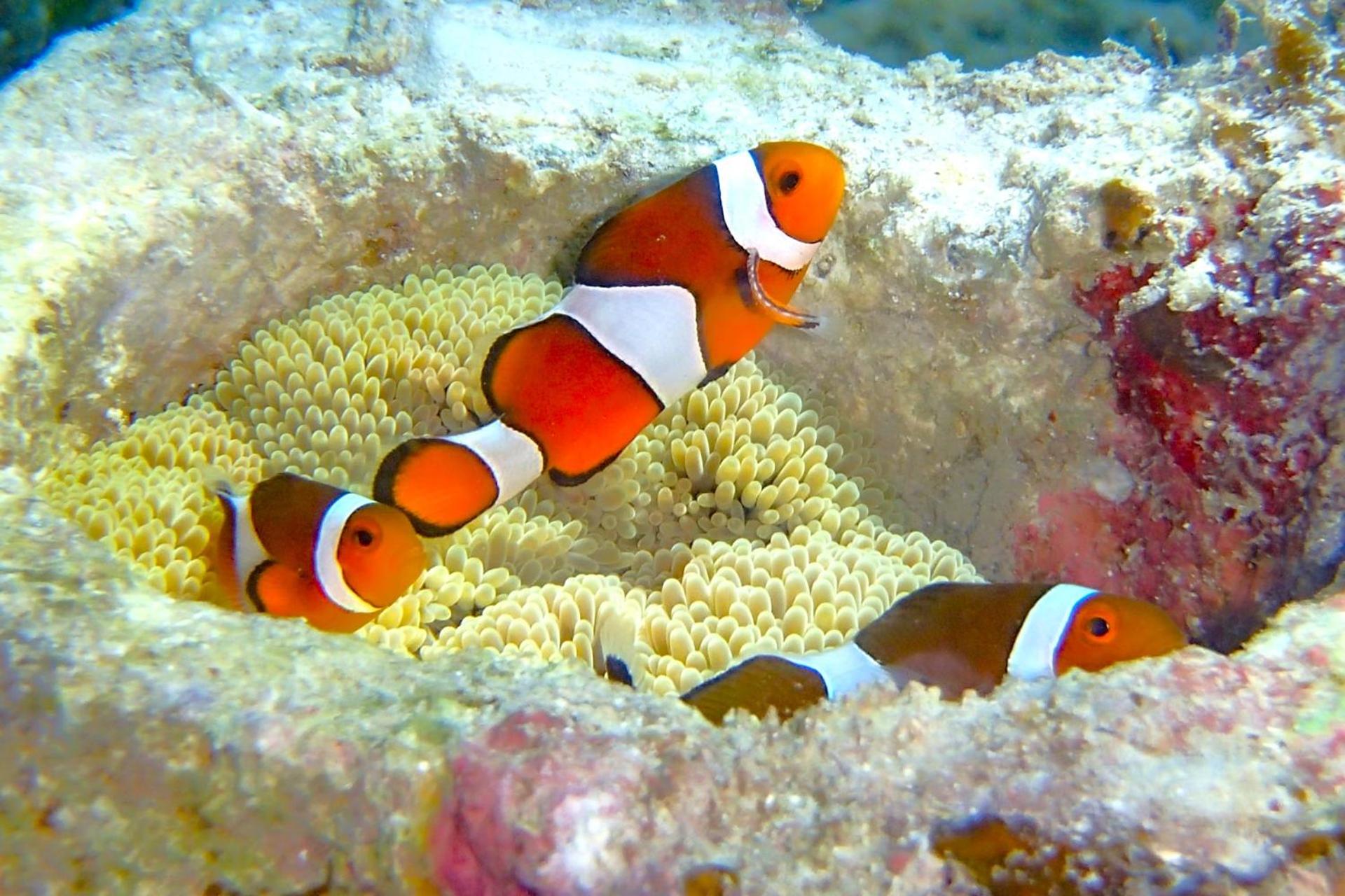 Coral Sea Villa OKINAWA MIYAKOJIMA
