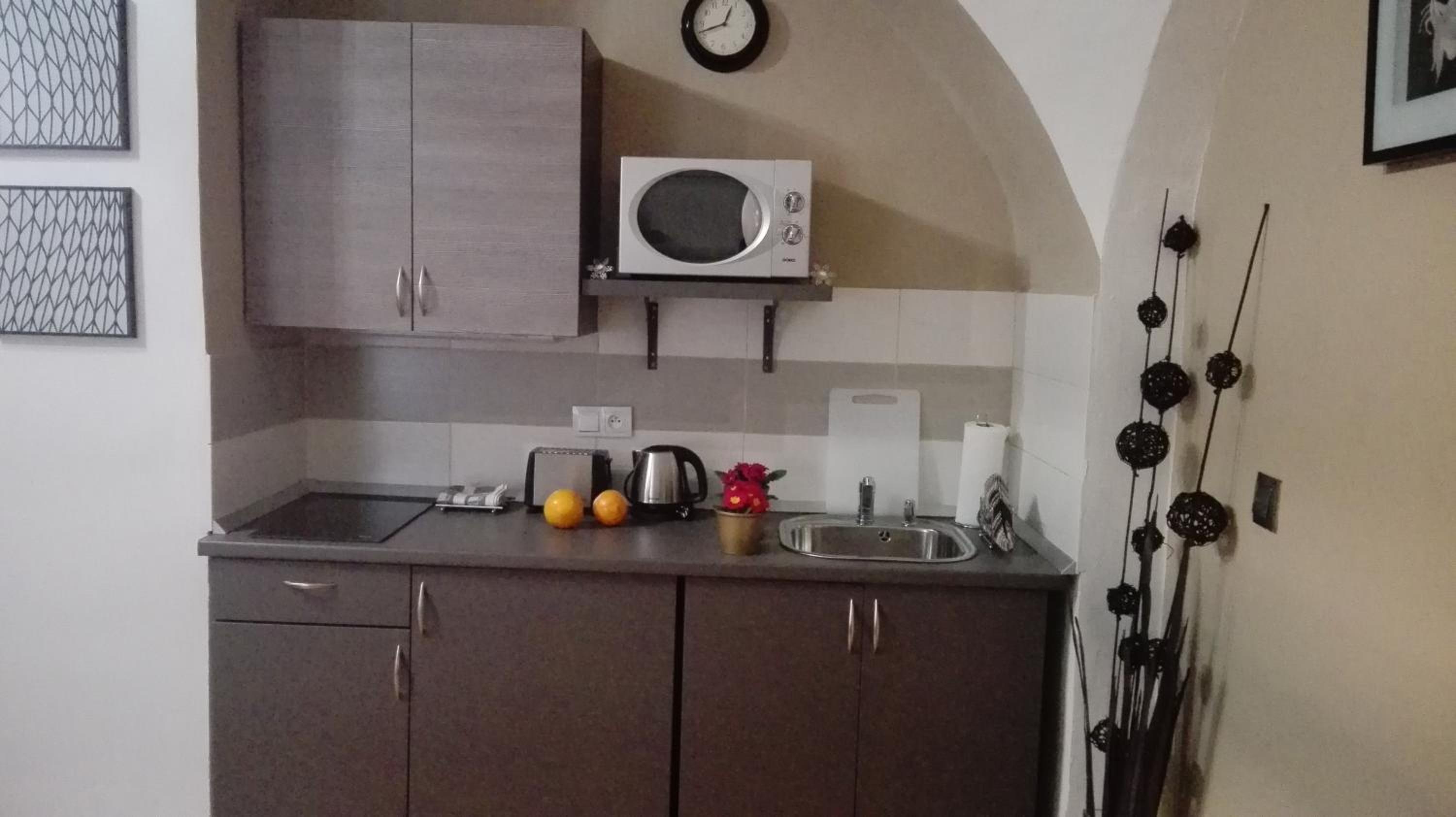 Apartment Jakubská 676