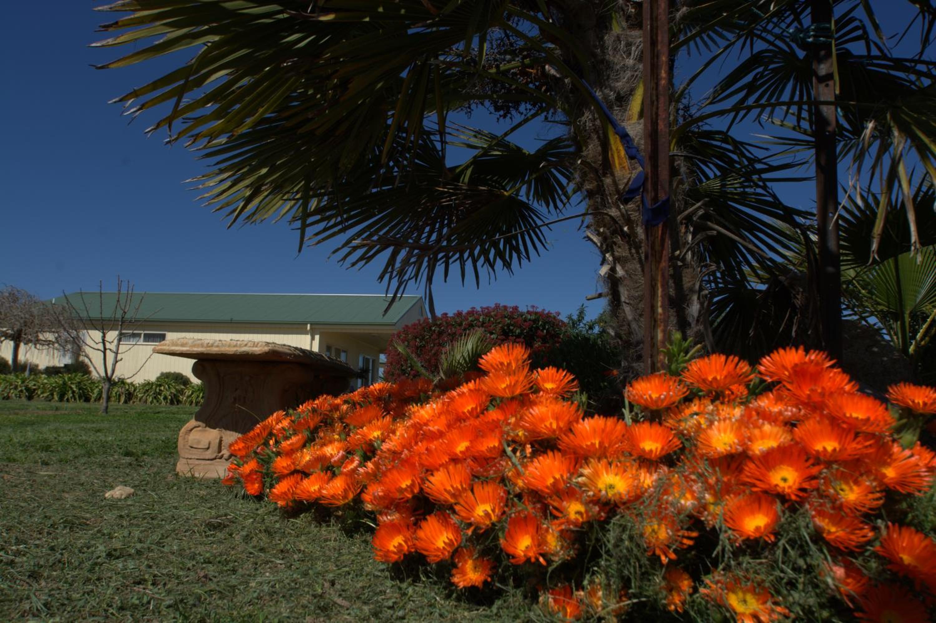 Milawa Muscat Retreat B&B