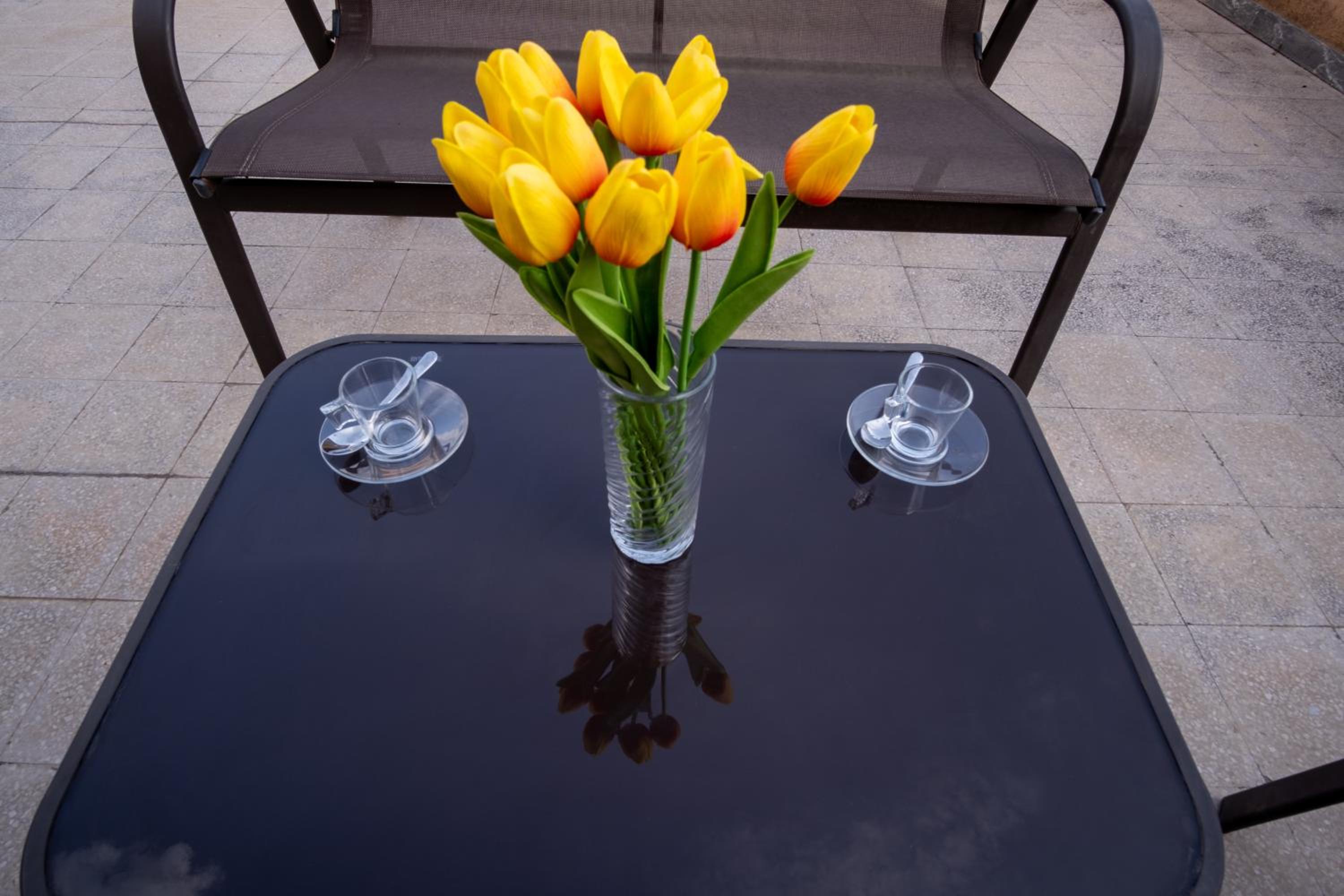 Elegantis La Dolce Vista Apartment with private terrace and fantastic View