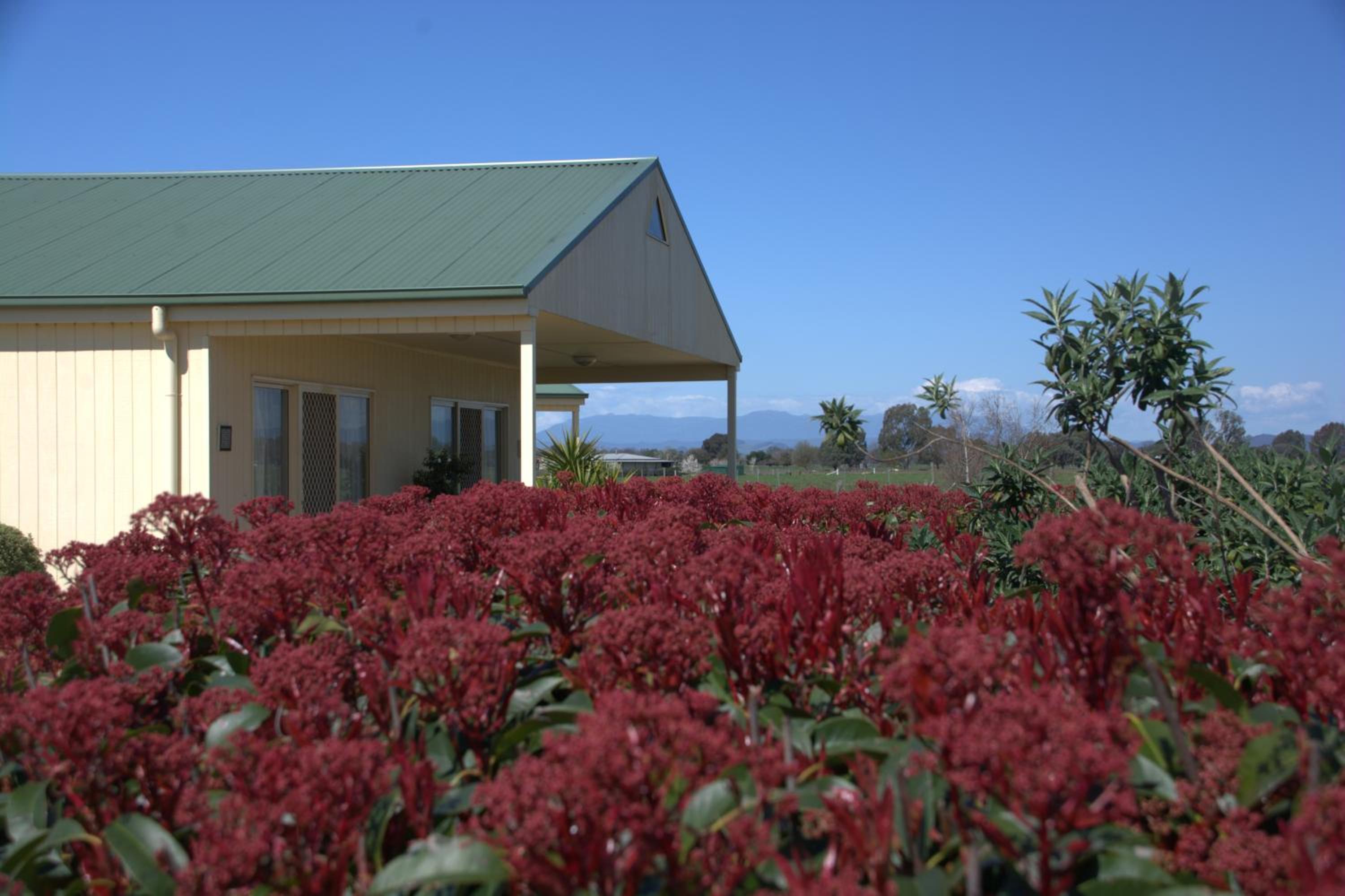Milawa Muscat Retreat B&B