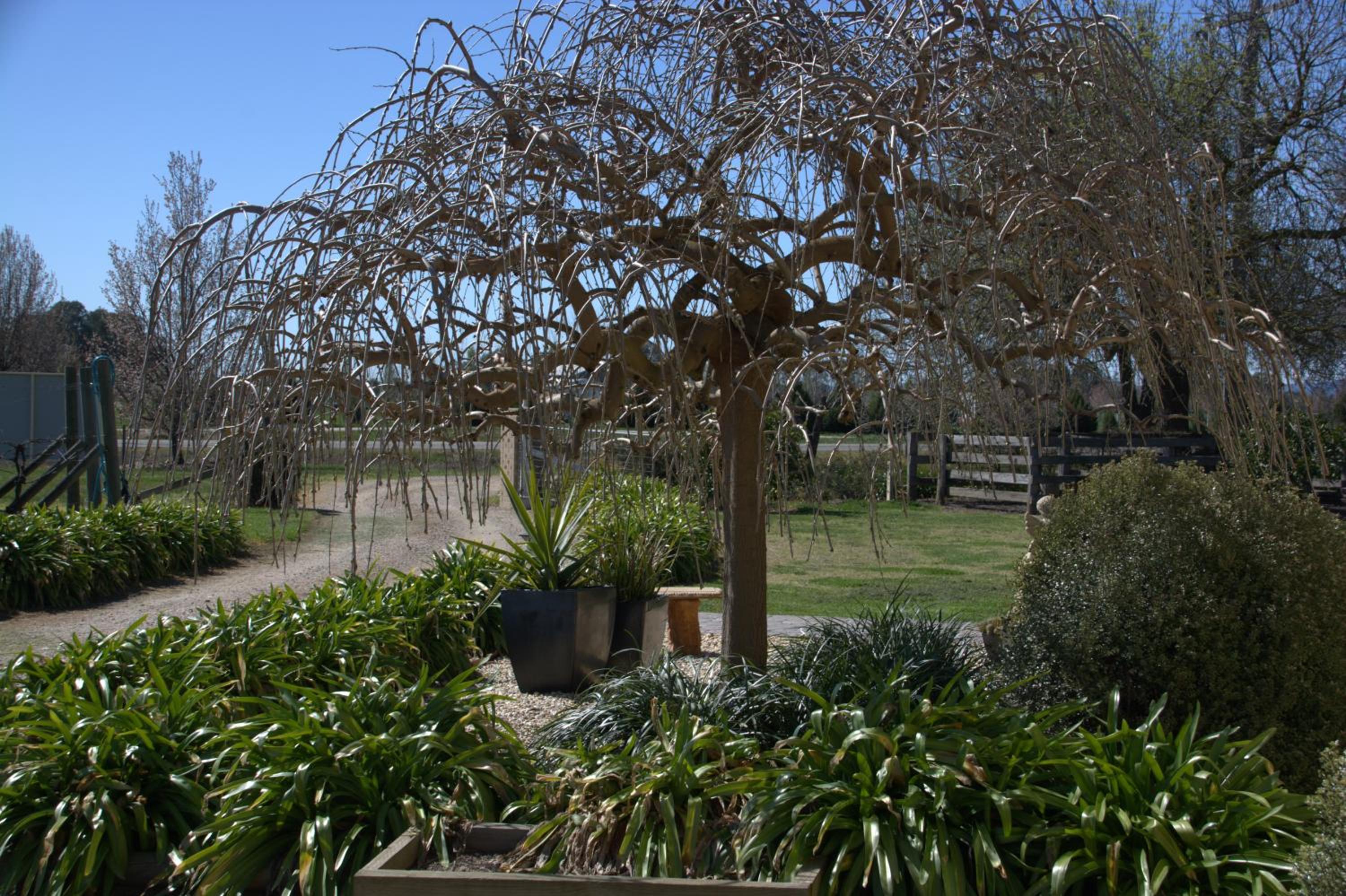 Milawa Muscat Retreat B&B