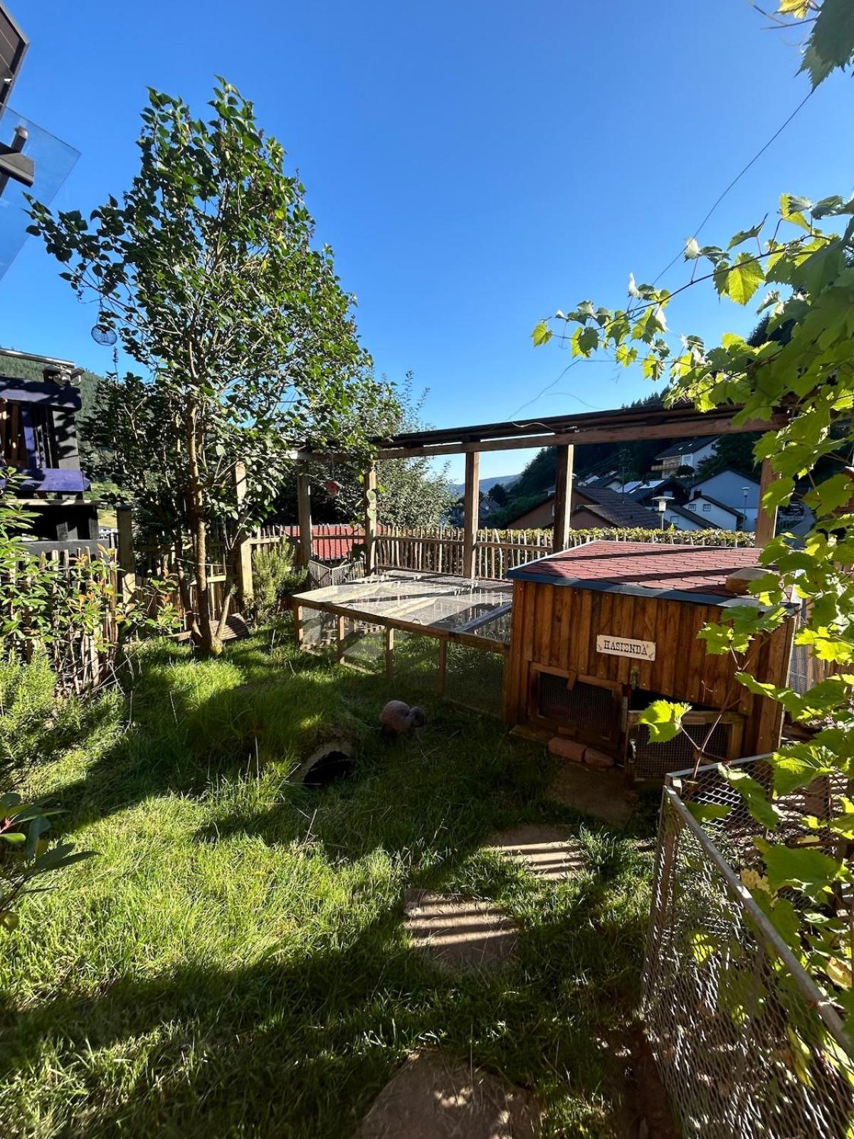 Kuckucksnest - Ferienwohnung mit Traumblick im Schwarzwald