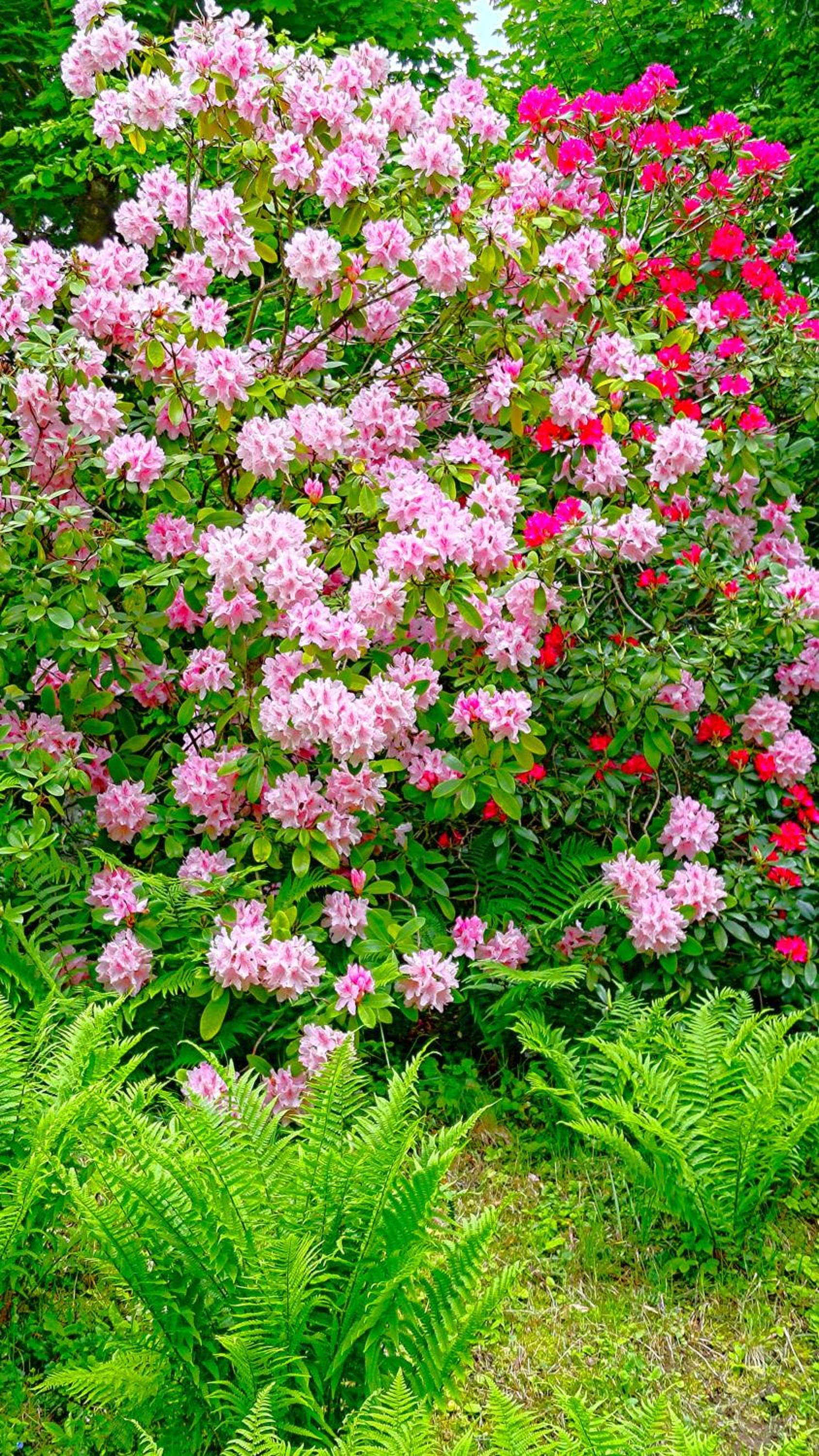 Photo 28