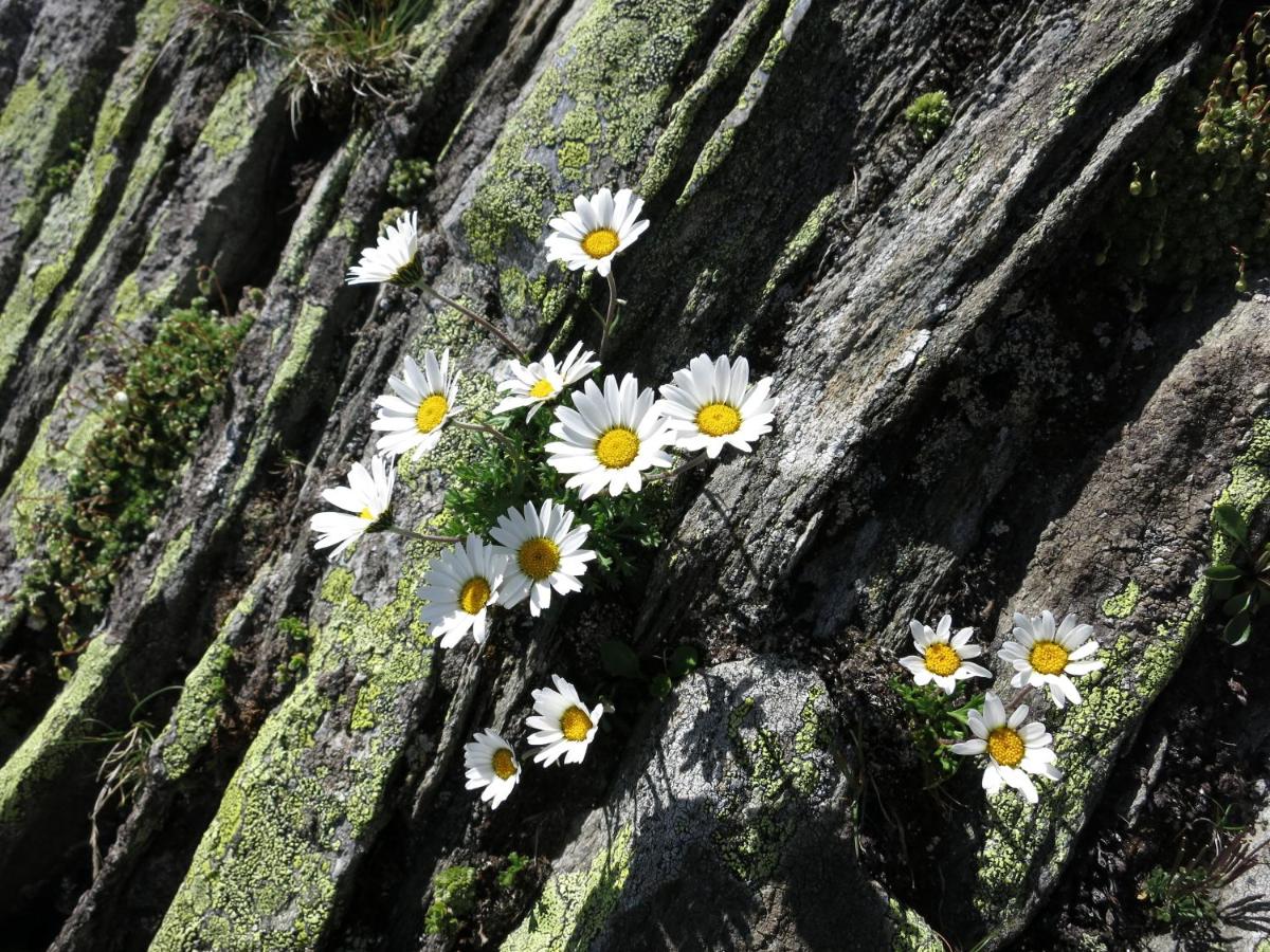 Klampererhof
