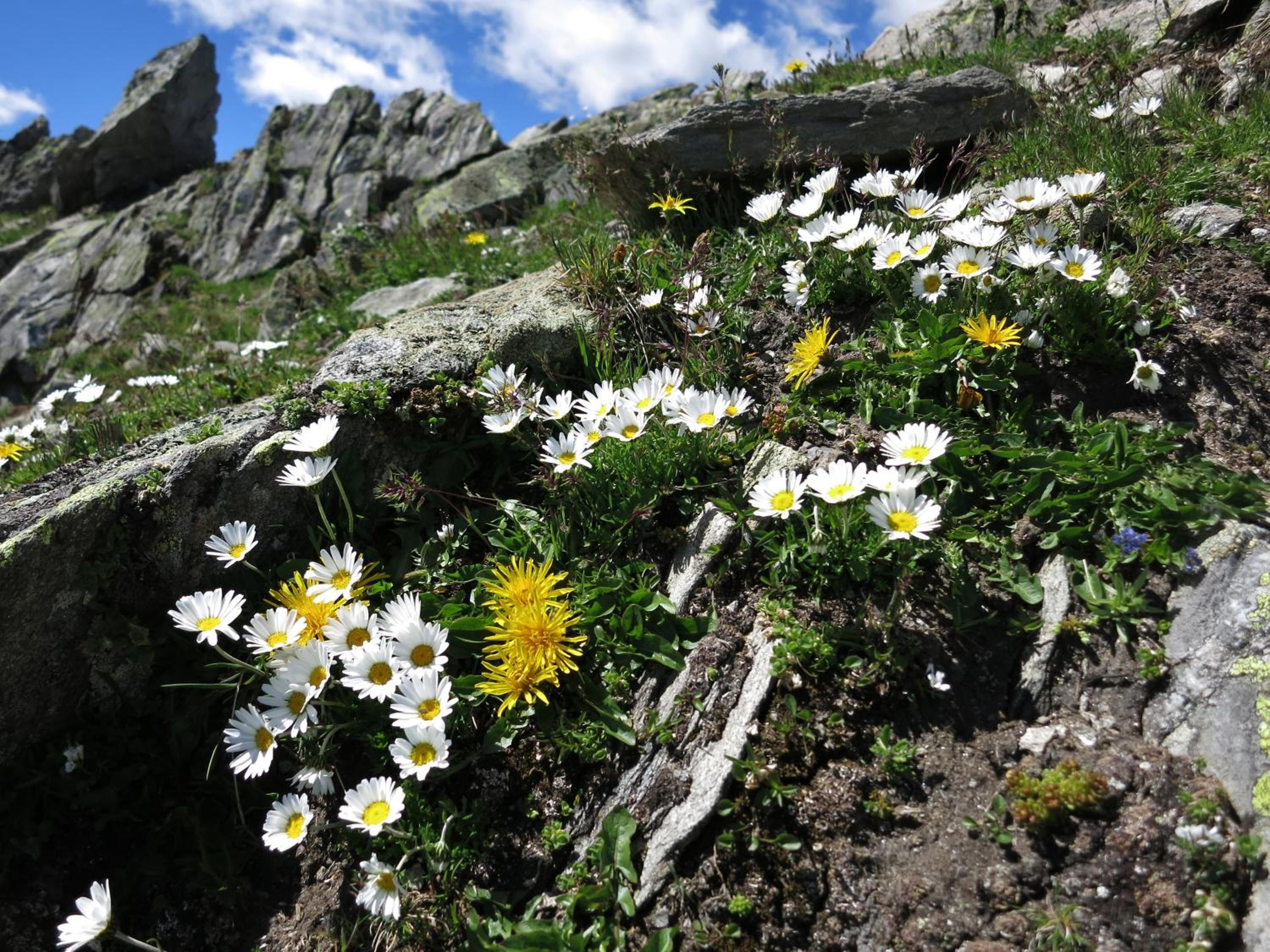 Klampererhof