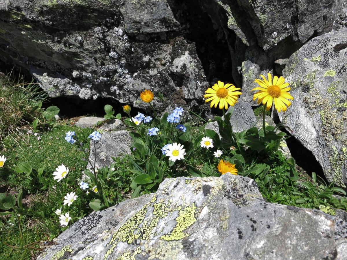 Klampererhof