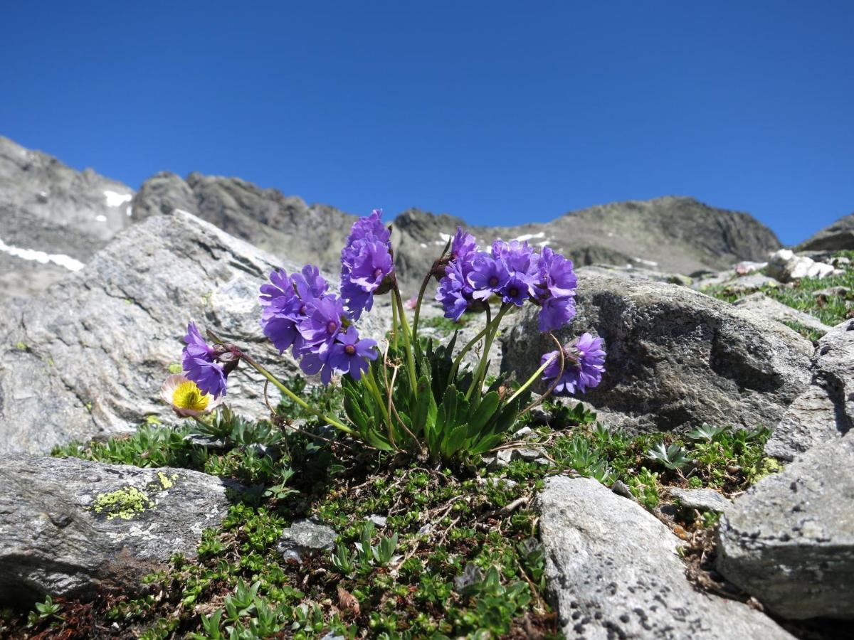 Klampererhof