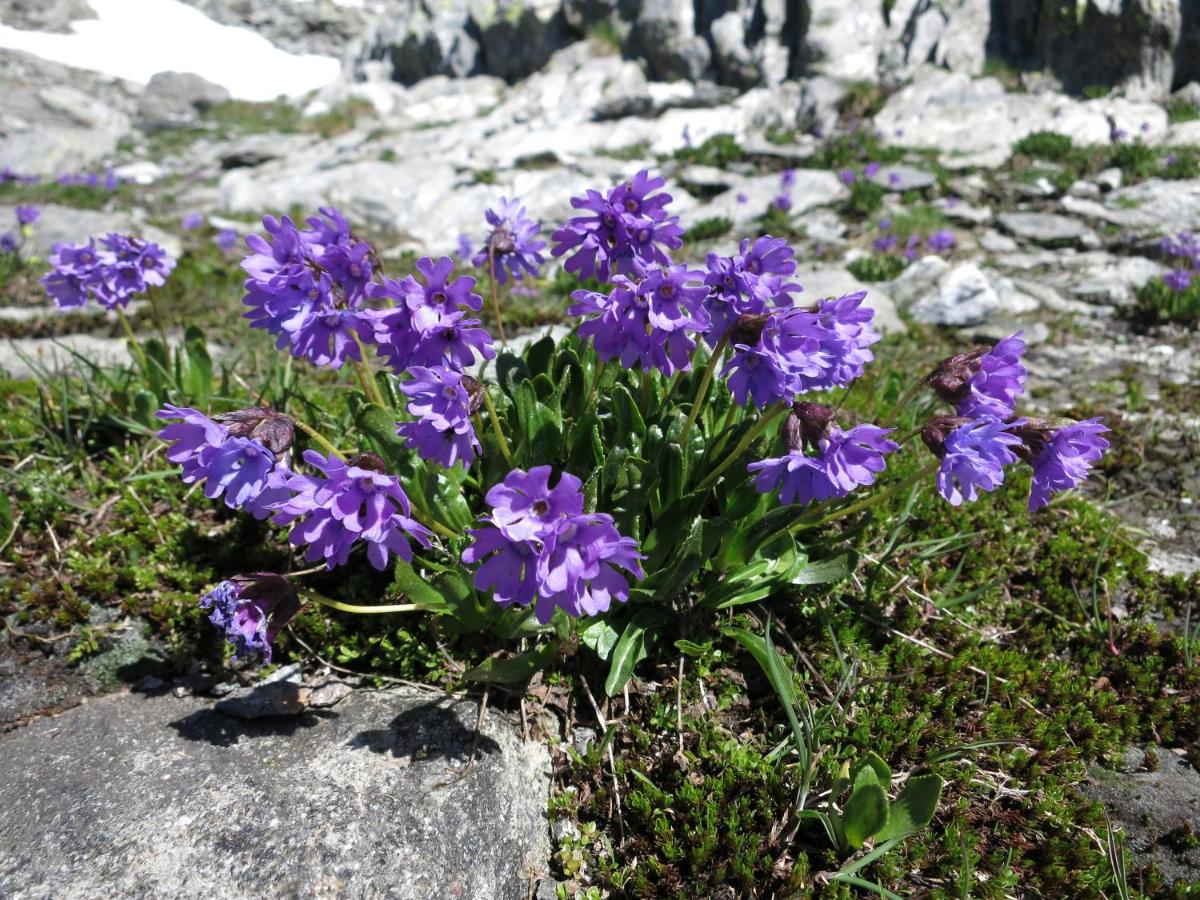 Klampererhof