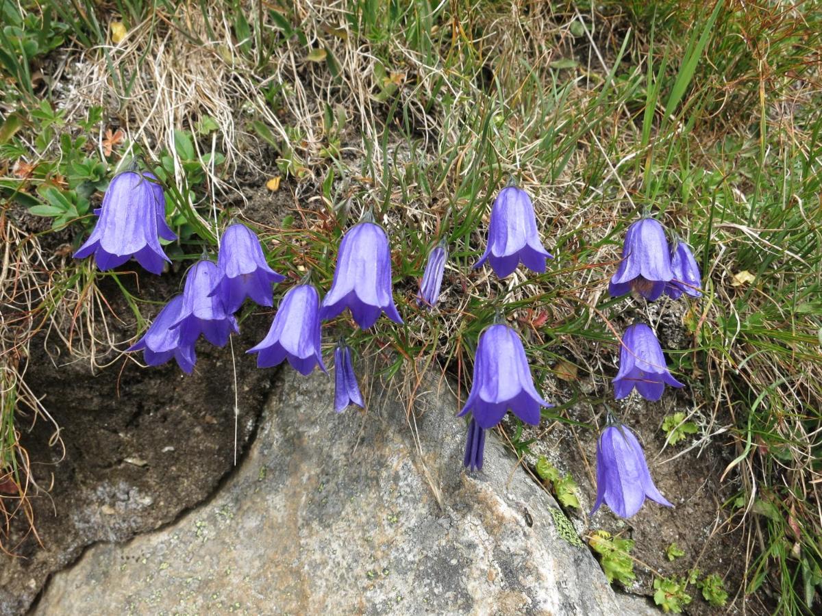 Klampererhof