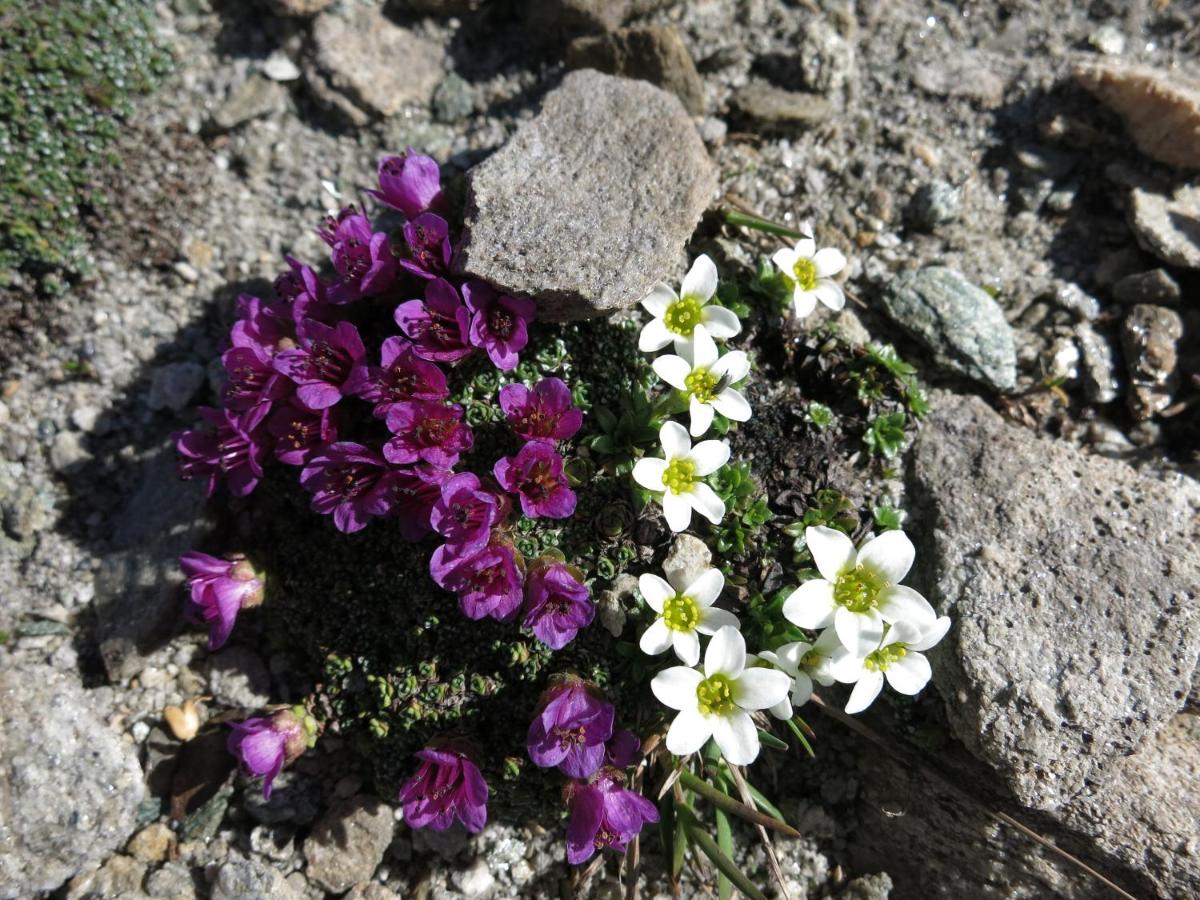 Klampererhof