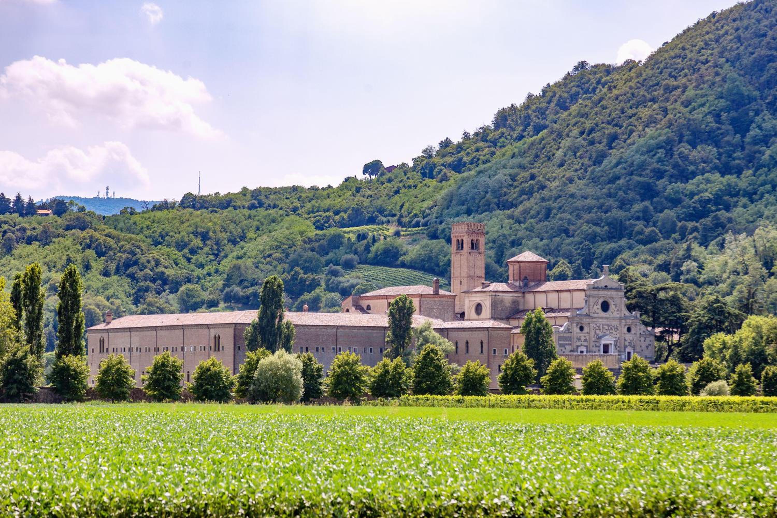 AURA Dimore ad Arquà Petrarca