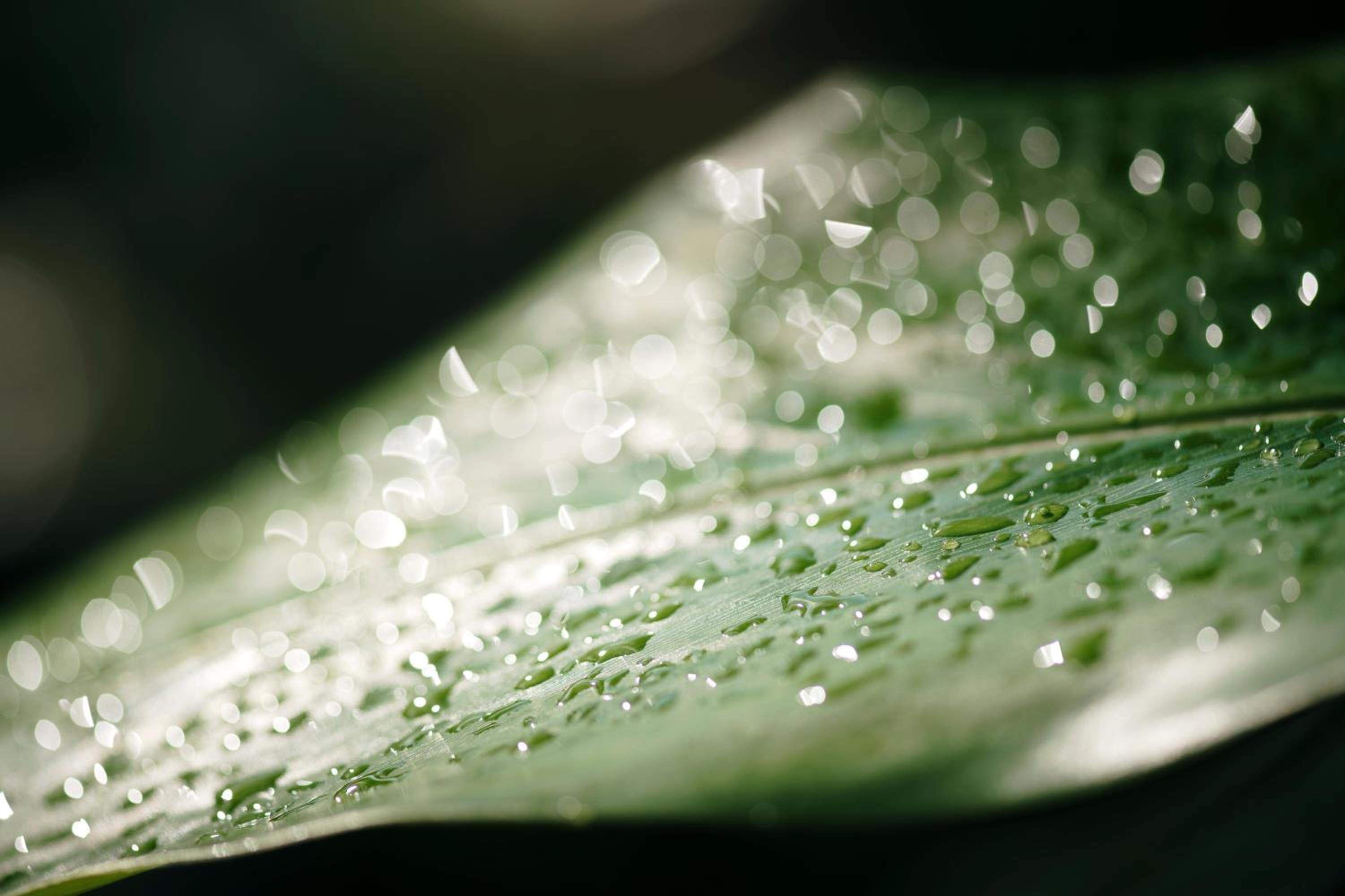 Sandals Grenada All Inclusive - Couples Only - Photo 138