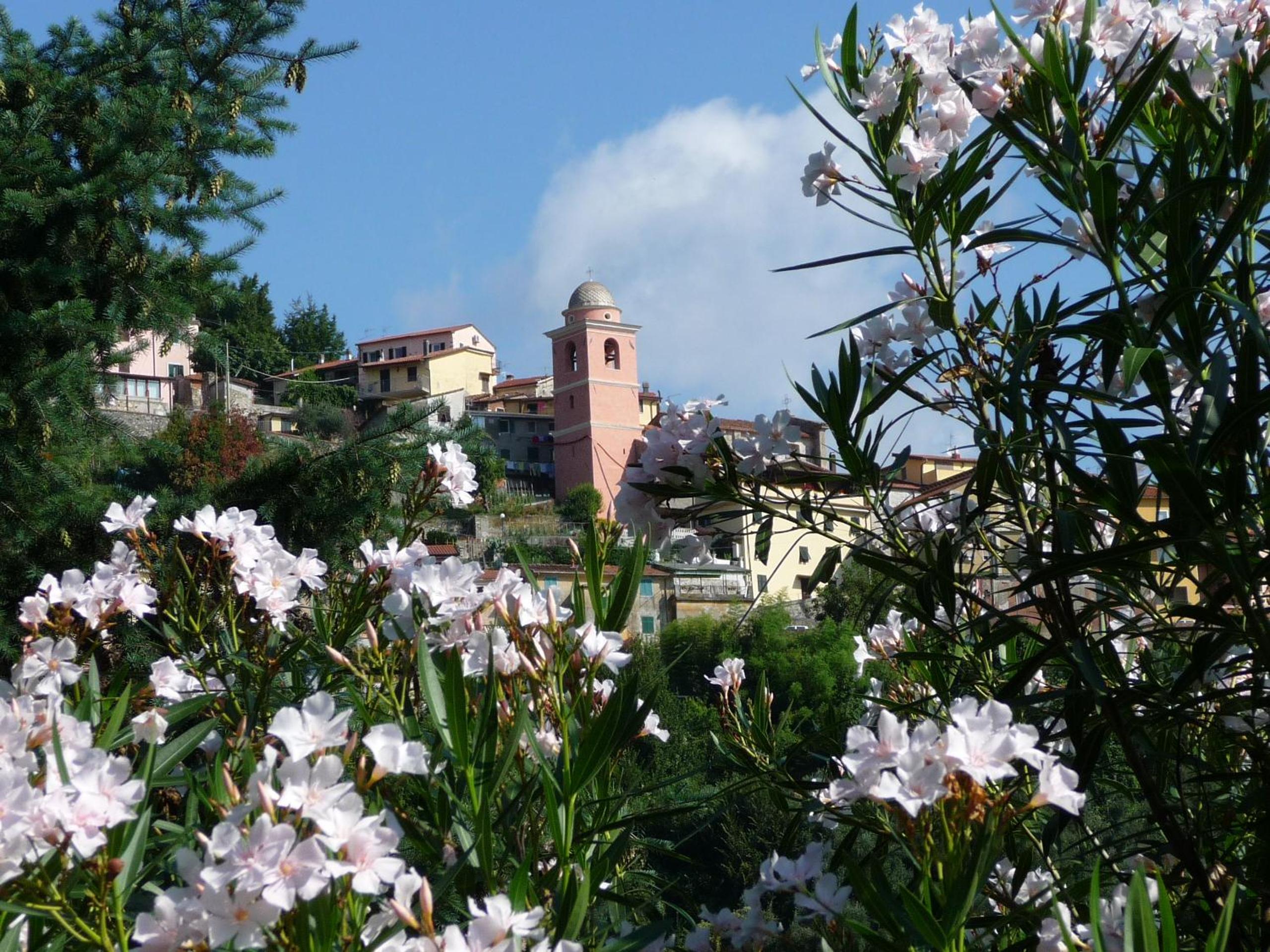 Hotel Ristorante Radar, photo 61