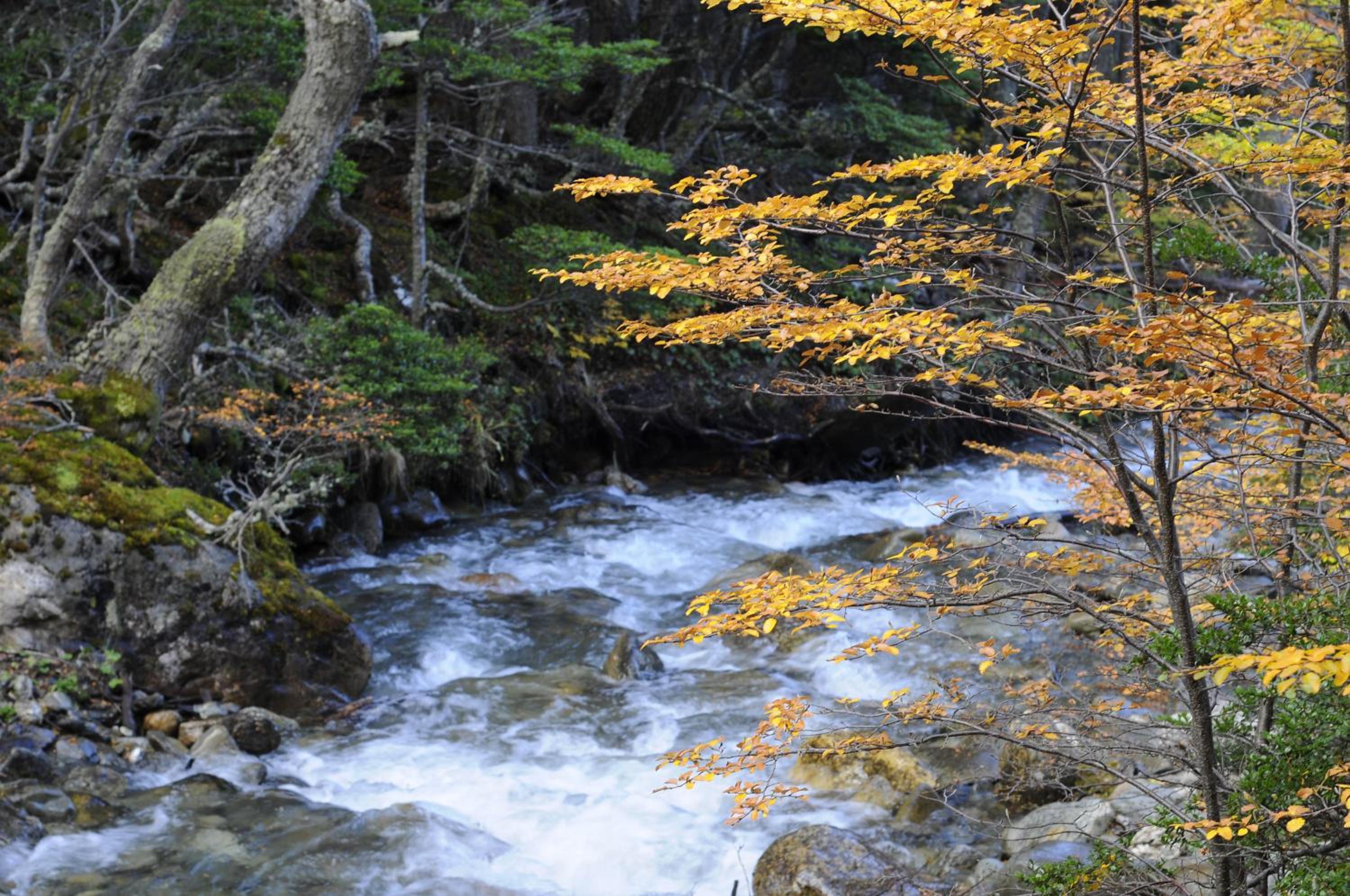 Cumbres Del Martial