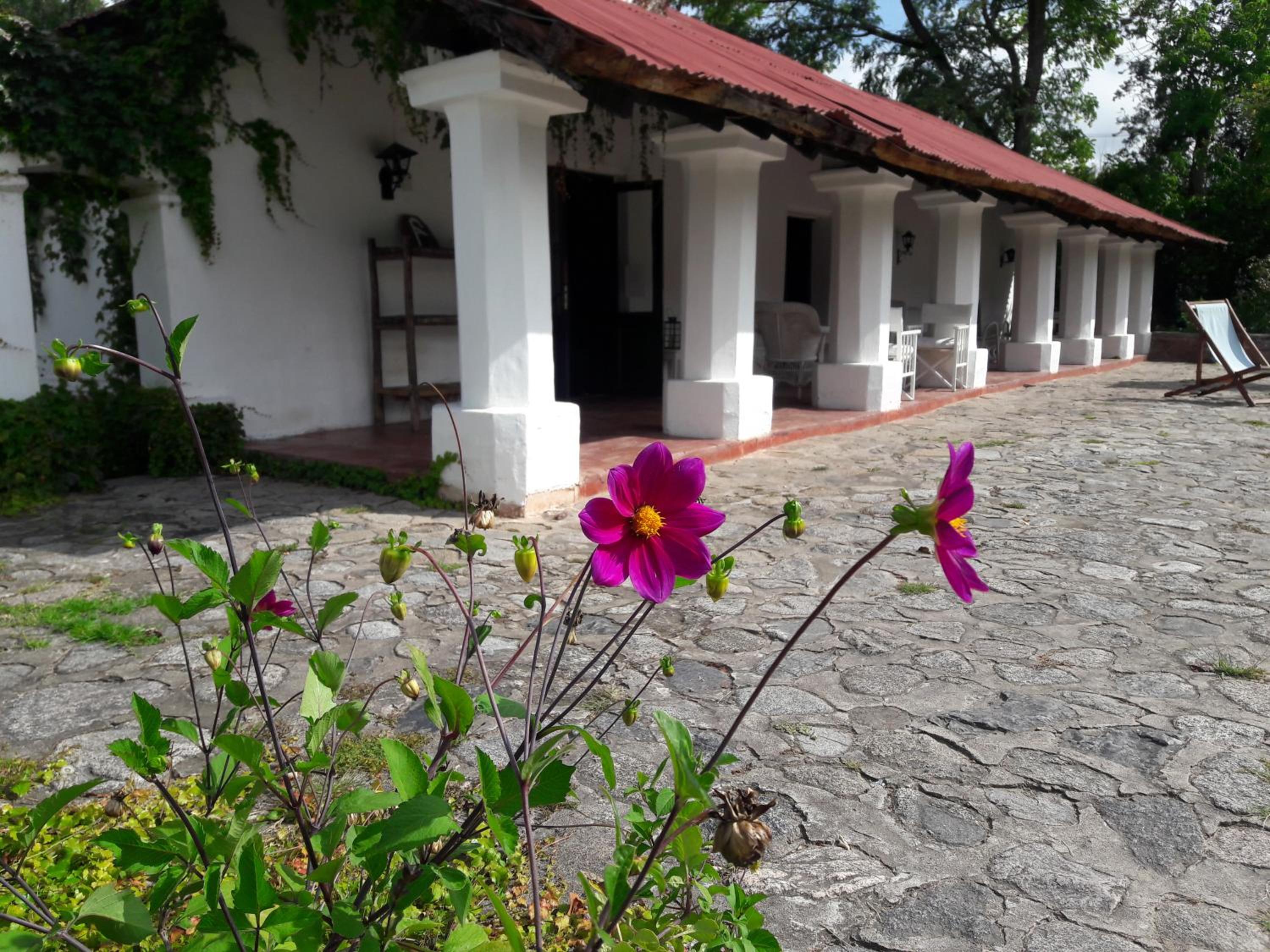 Estancia Las Tacanas