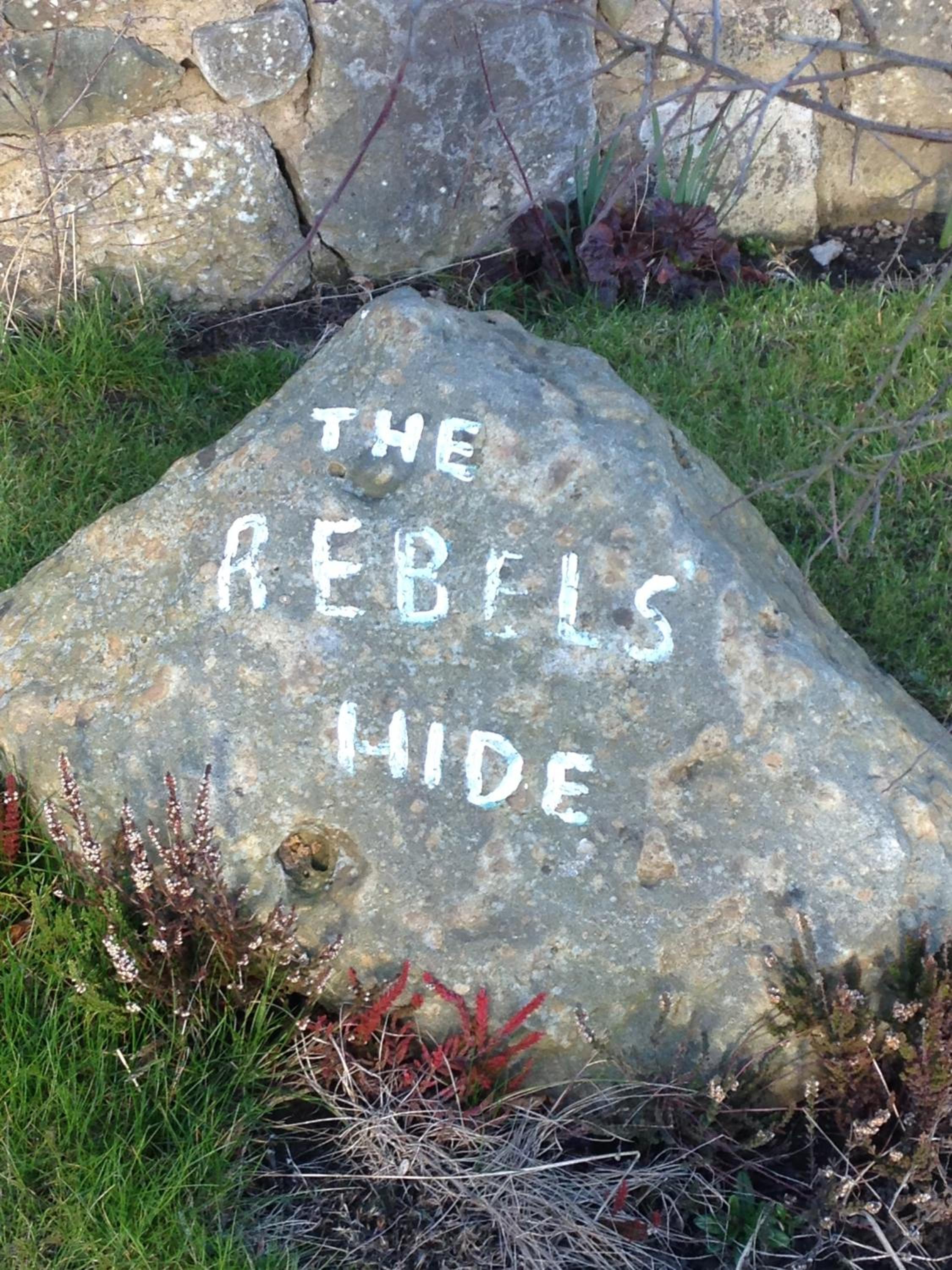 Rebels Hide -Self check in apartment