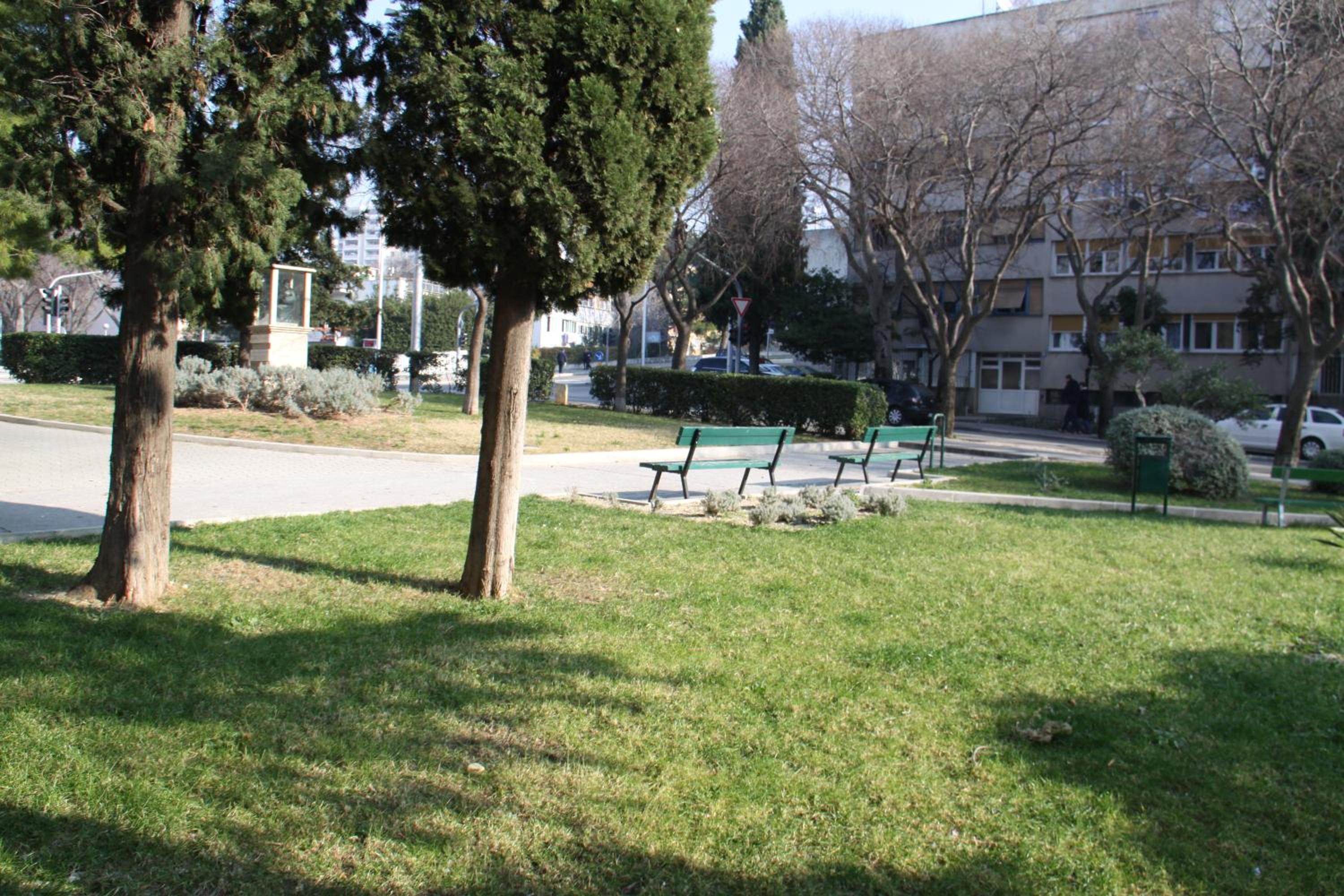Apartment Carmela photo 5