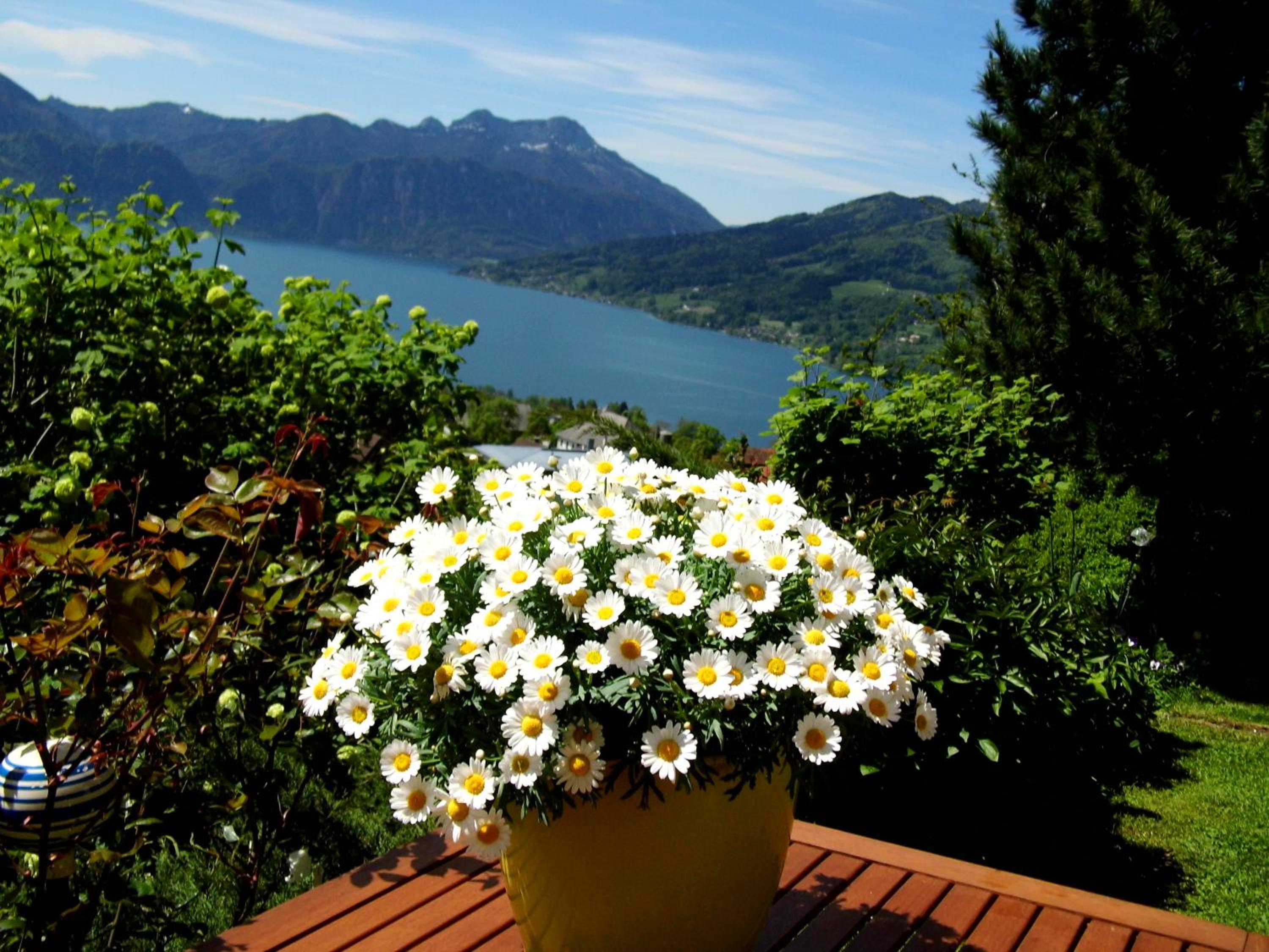Biohof Schwanser